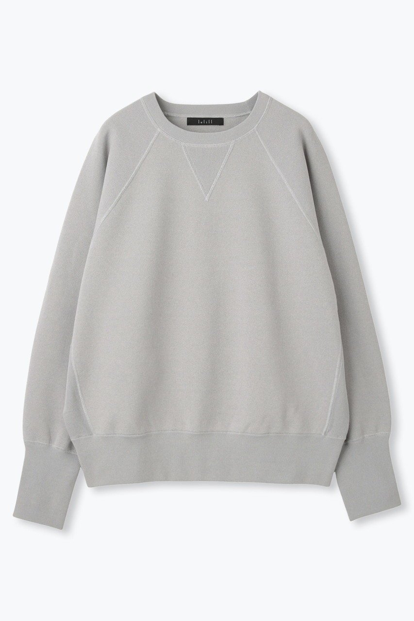 【レリル/lelill】のハイテクニット スウェット (レギュラーシルエット) インテリア・キッズ・メンズ・レディースファッション・服の通販 founy(ファニー) 　ファッション　Fashion　レディースファッション　Fashion for Women　トップス・カットソー　Cut & Sew Tops　ニット　Knit Tops & Sweaters　シャツ・ブラウス・オフィスカジュアル　Elegant Blouses & Button-Ups　レディースパーカー・カジュアルフーディー　Casual Hoodies & Sweatshirts　ロングTシャツ・Tシャツ　Longline T-Shirts & Tees　スウェット・クルーネックトップス　Sweatshirts & Crewnecks / Relaxed Fit Sweat Tops　カットソー・ベーシックTシャツ　Cut-and-Sewn Tops / Stretch Tees & Basics　スウェット / スエット　Sweatshirt, Sweatwear　レギュラー　Regular, Standard Fit　新作・新入荷　New Arrivals / New In　洗える　Machine Washable　グレー|ID: prp329100004687960 ipo3291000000033853129