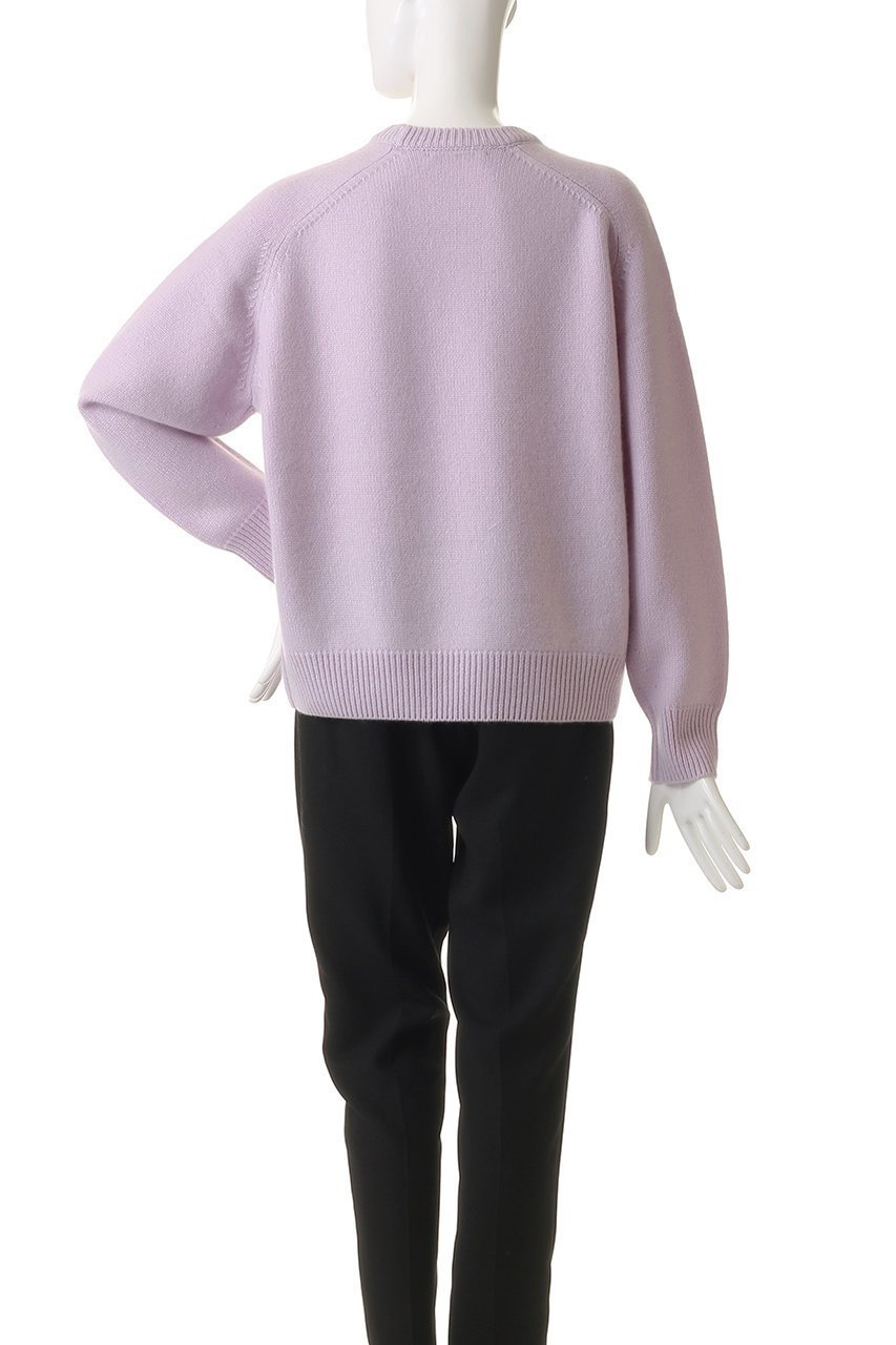 【エブール/ebure】のローゲージカシミア クルーネックプルオーバー 人気、トレンドファッション・服の通販 founy(ファニー) 　ファッション　Fashion　レディースファッション　Fashion for Women　トップス・カットソー　Cut & Sew Tops　ニット　Knit Tops & Sweaters　カジュアルプルオーバー・ニットトップス　Pullovers & Knit Tops / Casual Pullovers　おすすめ　Recommended / Our Picks　シンプル　Simple, Minimal　タンク　Tank Top, Sleeveless Top　other-4|ID: prp329100004689451 ipo3291000000035695194