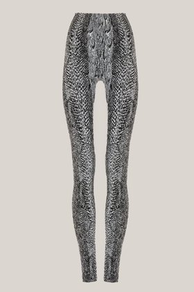 【ウォルフォード/Wolford】 17662 SEAMLESS PYTHON LEGGINGS シームレスパイソンレギンス人気、トレンドファッション・服の通販 founy(ファニー) ファッション Fashion レディースファッション Fashion for Women パンツ Pants & Trousers レギンス Leggings & Stretch Pants レッグウェア・ストッキング Legwear & Hosiery アニマル Animal Print スリム Slim, Slim Fit レギンス Leggings, Stretch Pants |ID:prp329100004691429