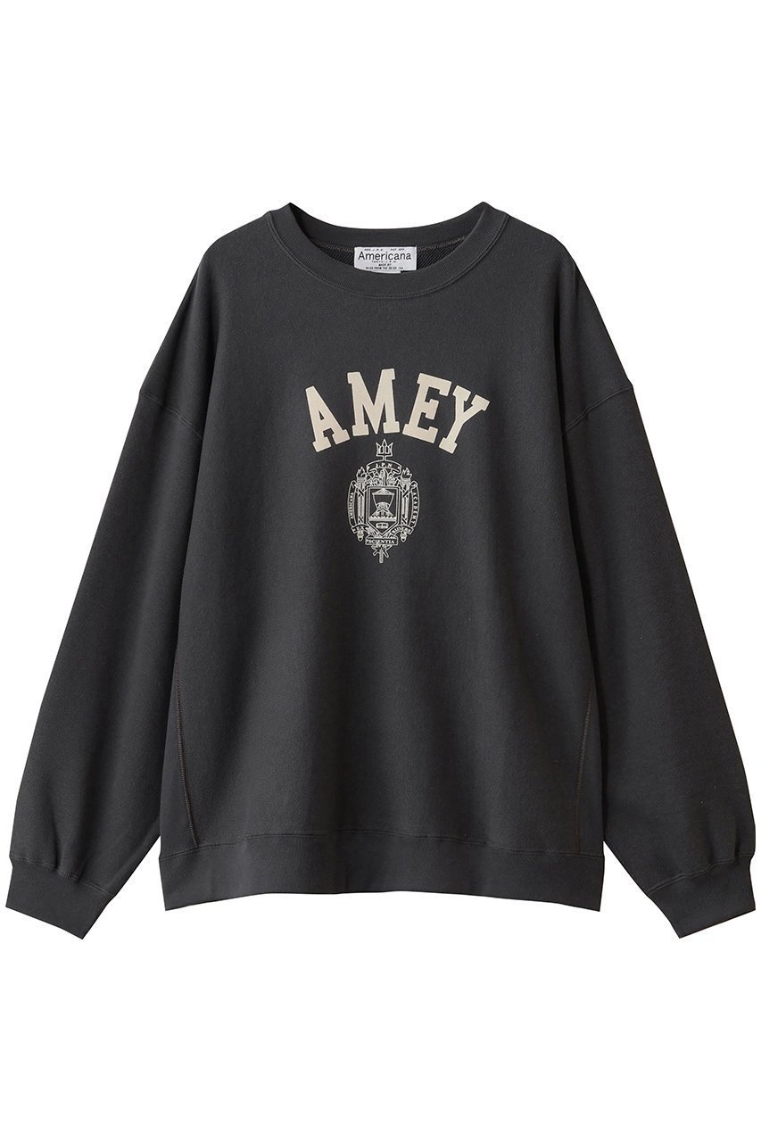 【アメリカーナ/Americana】のリバースウィーブスウェットクルー インテリア・キッズ・メンズ・レディースファッション・服の通販 founy(ファニー) 　ファッション　Fashion　レディースファッション　Fashion for Women　トップス・カットソー　Cut & Sew Tops　シャツ・ブラウス・オフィスカジュアル　Elegant Blouses & Button-Ups　レディースパーカー・カジュアルフーディー　Casual Hoodies & Sweatshirts　ロングTシャツ・Tシャツ　Longline T-Shirts & Tees　スウェット・クルーネックトップス　Sweatshirts & Crewnecks / Relaxed Fit Sweat Tops　カットソー・ベーシックTシャツ　Cut-and-Sewn Tops / Stretch Tees & Basics　エレガント 上品　Elegant　新作・新入荷　New Arrivals / New In　チャコール|ID: prp329100004691439 ipo3291000000033878174