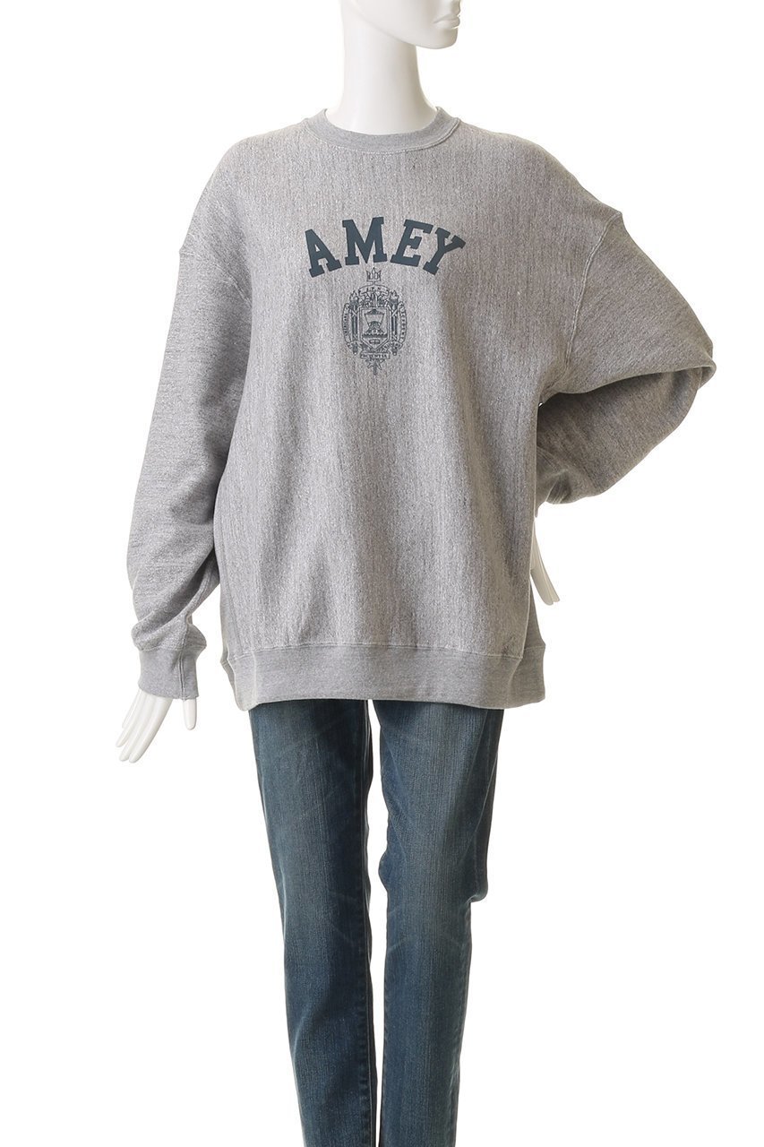 【アメリカーナ/Americana】のリバースウィーブスウェットクルー 人気、トレンドファッション・服の通販 founy(ファニー) 　ファッション　Fashion　レディースファッション　Fashion for Women　トップス・カットソー　Cut & Sew Tops　シャツ・ブラウス・オフィスカジュアル　Elegant Blouses & Button-Ups　レディースパーカー・カジュアルフーディー　Casual Hoodies & Sweatshirts　ロングTシャツ・Tシャツ　Longline T-Shirts & Tees　スウェット・クルーネックトップス　Sweatshirts & Crewnecks / Relaxed Fit Sweat Tops　カットソー・ベーシックTシャツ　Cut-and-Sewn Tops / Stretch Tees & Basics　エレガント 上品　Elegant　新作・新入荷　New Arrivals / New In　other-2|ID: prp329100004691439 ipo3291000000033878176