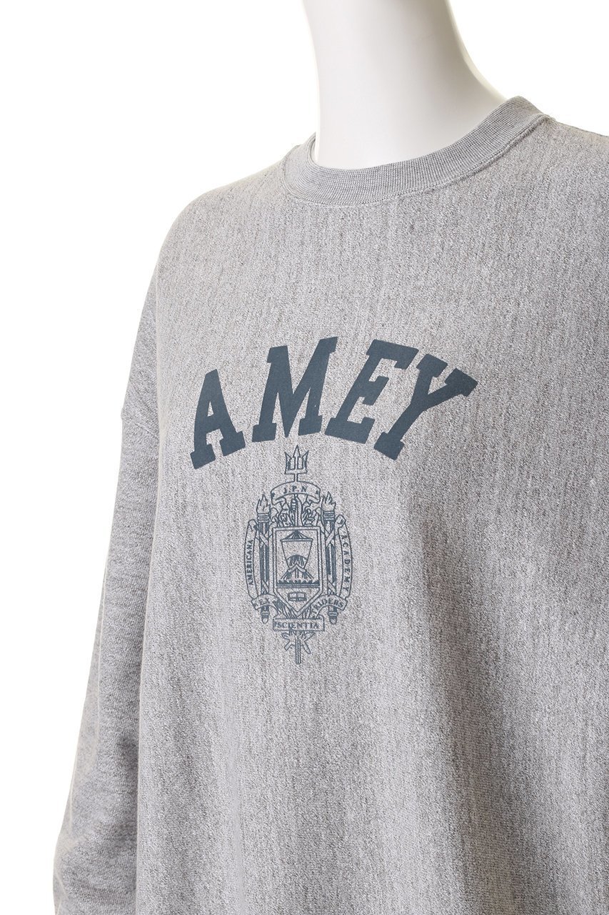 【アメリカーナ/Americana】のリバースウィーブスウェットクルー 人気、トレンドファッション・服の通販 founy(ファニー) 　ファッション　Fashion　レディースファッション　Fashion for Women　トップス・カットソー　Cut & Sew Tops　シャツ・ブラウス・オフィスカジュアル　Elegant Blouses & Button-Ups　レディースパーカー・カジュアルフーディー　Casual Hoodies & Sweatshirts　ロングTシャツ・Tシャツ　Longline T-Shirts & Tees　スウェット・クルーネックトップス　Sweatshirts & Crewnecks / Relaxed Fit Sweat Tops　カットソー・ベーシックTシャツ　Cut-and-Sewn Tops / Stretch Tees & Basics　エレガント 上品　Elegant　新作・新入荷　New Arrivals / New In　other-5|ID: prp329100004691439 ipo3291000000033878179