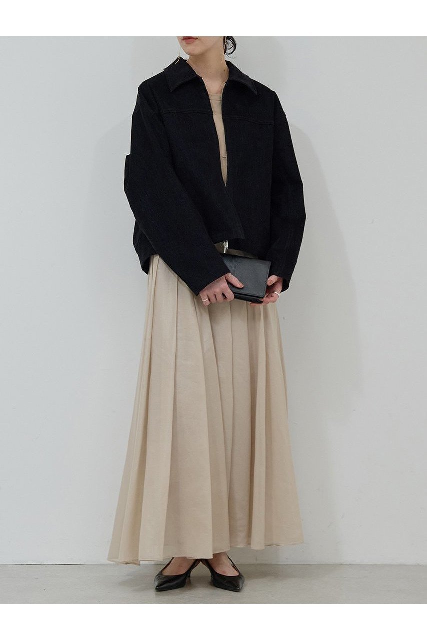 【ガリャルダガランテ/GALLARDAGALANTE】のシアープリーツスカート 人気、トレンドファッション・服の通販 founy(ファニー) 　ファッション　Fashion　レディースファッション　Fashion for Women　スカート　Skirts　プリーツスカート / 上品フェミニンスタイル　Pleated Skirts　ロングスカート　Long Skirts / Maxi & Midi Skirts　シアー　Sheer, See-Through　プリーツ　Pleats, Pleated　ペチコート　Petticoat, Underskirt　ロング　Long, Long-Length　エレガント 上品　Elegant　新作・新入荷　New Arrivals / New In　other-2|ID: prp329100004691480 ipo3291000000033878515