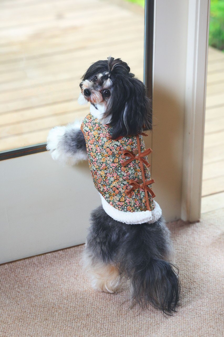 【キッドブルー/KID BLUE / GOODS】のLIBERTYキルトドッグウエア 人気、トレンドファッション・服の通販 founy(ファニー) 　キルト　Quilt, Quilted Fabric　パイピング　Piping, Trim Design　リボン　Ribbon, Bow　冬　Winter / This Winter　新作・新入荷　New Arrivals / New In　犬　Dog　ホーム・キャンプ・アウトドア・お取り寄せ　Home Living / Home & Lifestyle / Camping Gear / Outdoor Camping　ペットグッズ　Pet Supplies　other-7|ID: prp329100004698324 ipo3291000000033926845