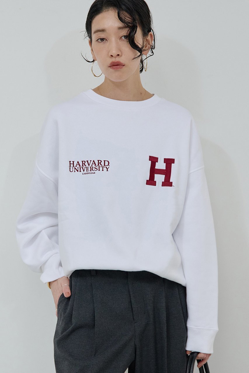 【ガリャルダガランテ/GALLARDAGALANTE】の【GOOD ROCK SPEED】HARVARDスウェット 人気、トレンドファッション・服の通販 founy(ファニー) 　ファッション　Fashion　レディースファッション　Fashion for Women　トップス・カットソー　Cut & Sew Tops　シャツ・ブラウス・オフィスカジュアル　Elegant Blouses & Button-Ups　レディースパーカー・カジュアルフーディー　Casual Hoodies & Sweatshirts　ロングTシャツ・Tシャツ　Longline T-Shirts & Tees　スウェット・クルーネックトップス　Sweatshirts & Crewnecks / Relaxed Fit Sweat Tops　カットソー・ベーシックTシャツ　Cut-and-Sewn Tops / Stretch Tees & Basics　スウェット / スエット　Sweatshirt, Sweatwear　スラックス　Slacks, Dress Pants　デニム　Denim, Jeans Material　プリント　Print, Printed Pattern　再入荷　Restock / Back in Stock　定番　Standard, Basic Item　長袖　Long Sleeve, Full Sleeve　 other-1|ID: prp329100004703582 ipo3291000000035563869