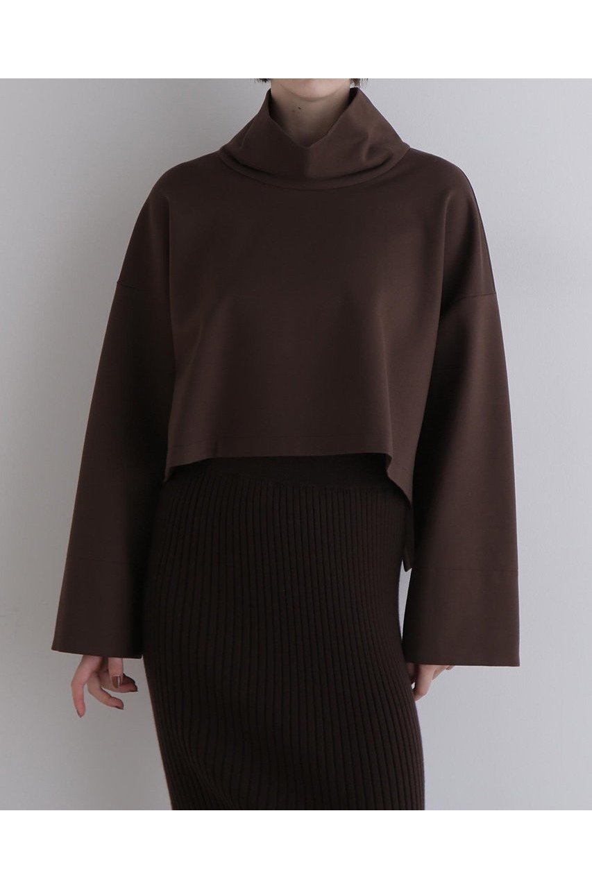 【ル フィル/LE PHIL】のハイネッククロプドプルオーバー 人気、トレンドファッション・服の通販 founy(ファニー) 　ファッション　Fashion　レディースファッション　Fashion for Women　トップス・カットソー　Cut & Sew Tops　シャツ・ブラウス・オフィスカジュアル　Elegant Blouses & Button-Ups　ロングTシャツ・Tシャツ　Longline T-Shirts & Tees　カジュアルプルオーバー・ニットトップス　Pullovers & Knit Tops / Casual Pullovers　カットソー・ベーシックTシャツ　Cut-and-Sewn Tops / Stretch Tees & Basics　インナー　Innerwear　ショート　Short, Short Length　スタンダード　Standard, Basic　スリーブ　Sleeve, Long Sleeve / Short Sleeve　ハイネック　High Neck, Mock Neck　バランス　Balance, Style Balance　ロング　Long, Long-Length　ワイド　Wide, Wide Fit　エレガント 上品　Elegant　other-2|ID: prp329100004705547 ipo3291000000033983368