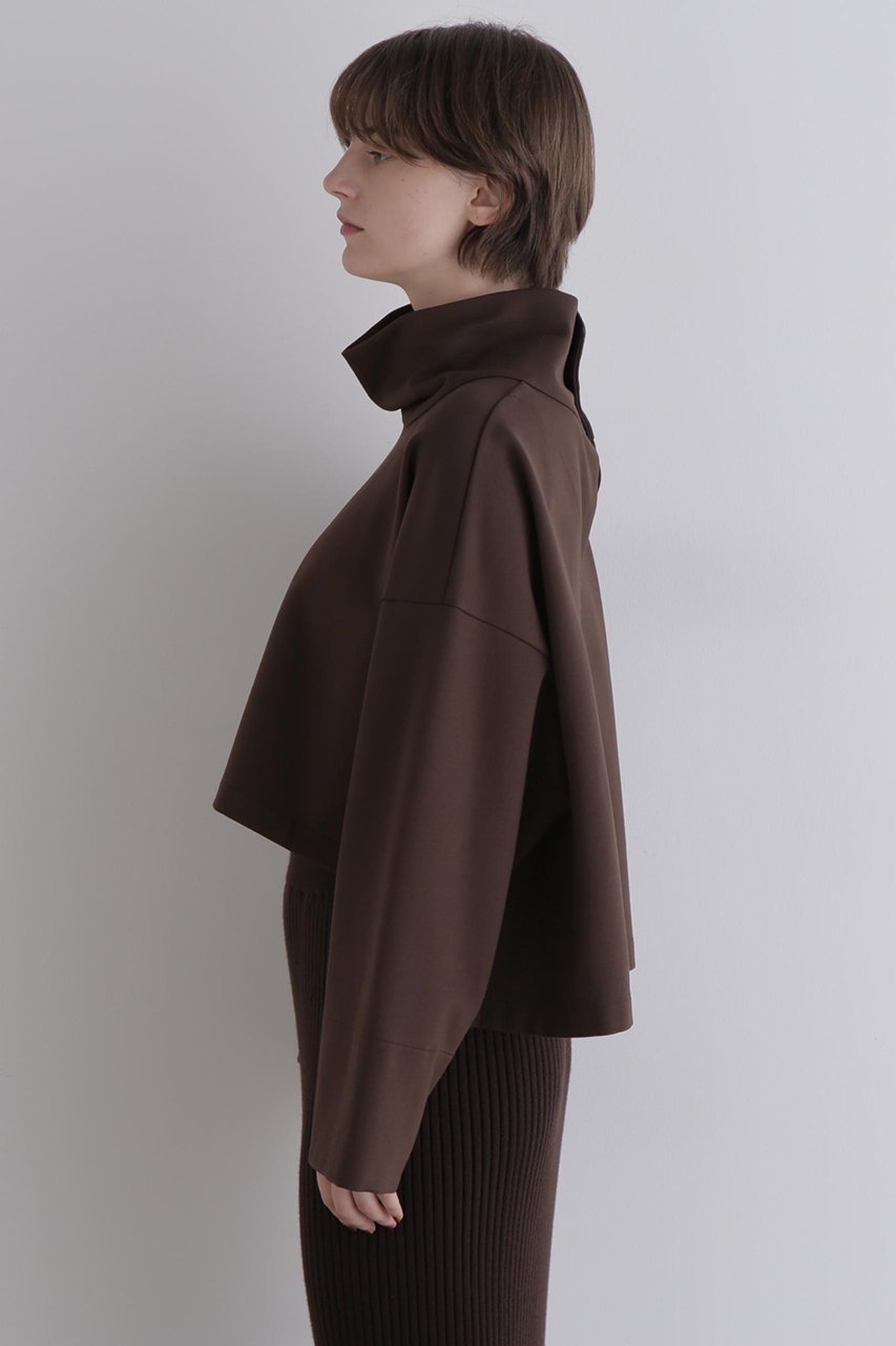 【ル フィル/LE PHIL】のハイネッククロプドプルオーバー 人気、トレンドファッション・服の通販 founy(ファニー) 　ファッション　Fashion　レディースファッション　Fashion for Women　トップス・カットソー　Cut & Sew Tops　シャツ・ブラウス・オフィスカジュアル　Elegant Blouses & Button-Ups　ロングTシャツ・Tシャツ　Longline T-Shirts & Tees　カジュアルプルオーバー・ニットトップス　Pullovers & Knit Tops / Casual Pullovers　カットソー・ベーシックTシャツ　Cut-and-Sewn Tops / Stretch Tees & Basics　インナー　Innerwear　ショート　Short, Short Length　スタンダード　Standard, Basic　スリーブ　Sleeve, Long Sleeve / Short Sleeve　ハイネック　High Neck, Mock Neck　バランス　Balance, Style Balance　ロング　Long, Long-Length　ワイド　Wide, Wide Fit　エレガント 上品　Elegant　other-4|ID: prp329100004705547 ipo3291000000033983370