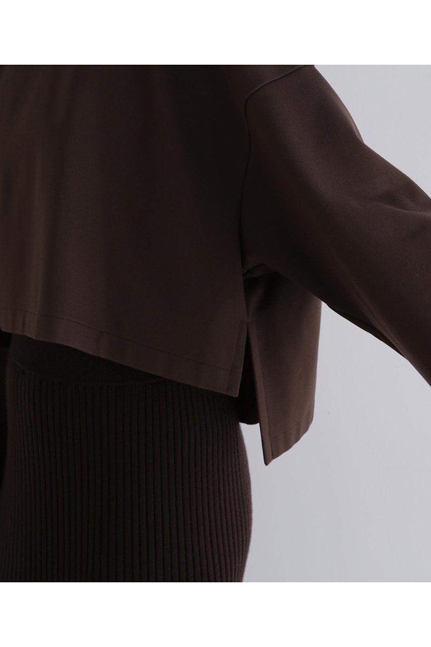 【ル フィル/LE PHIL】のハイネッククロプドプルオーバー 人気、トレンドファッション・服の通販 founy(ファニー) 　ファッション　Fashion　レディースファッション　Fashion for Women　トップス・カットソー　Cut & Sew Tops　シャツ・ブラウス・オフィスカジュアル　Elegant Blouses & Button-Ups　ロングTシャツ・Tシャツ　Longline T-Shirts & Tees　カジュアルプルオーバー・ニットトップス　Pullovers & Knit Tops / Casual Pullovers　カットソー・ベーシックTシャツ　Cut-and-Sewn Tops / Stretch Tees & Basics　インナー　Innerwear　ショート　Short, Short Length　スタンダード　Standard, Basic　スリーブ　Sleeve, Long Sleeve / Short Sleeve　ハイネック　High Neck, Mock Neck　バランス　Balance, Style Balance　ロング　Long, Long-Length　ワイド　Wide, Wide Fit　エレガント 上品　Elegant　other-8|ID: prp329100004705547 ipo3291000000033983374