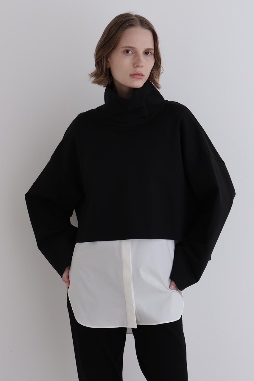 【ル フィル/LE PHIL】のハイネッククロプドプルオーバー 人気、トレンドファッション・服の通販 founy(ファニー) 　ファッション　Fashion　レディースファッション　Fashion for Women　トップス・カットソー　Cut & Sew Tops　シャツ・ブラウス・オフィスカジュアル　Elegant Blouses & Button-Ups　ロングTシャツ・Tシャツ　Longline T-Shirts & Tees　カジュアルプルオーバー・ニットトップス　Pullovers & Knit Tops / Casual Pullovers　カットソー・ベーシックTシャツ　Cut-and-Sewn Tops / Stretch Tees & Basics　インナー　Innerwear　ショート　Short, Short Length　スタンダード　Standard, Basic　スリーブ　Sleeve, Long Sleeve / Short Sleeve　ハイネック　High Neck, Mock Neck　バランス　Balance, Style Balance　ロング　Long, Long-Length　ワイド　Wide, Wide Fit　エレガント 上品　Elegant　other-2|ID: prp329100004705547 ipo3291000000035630582