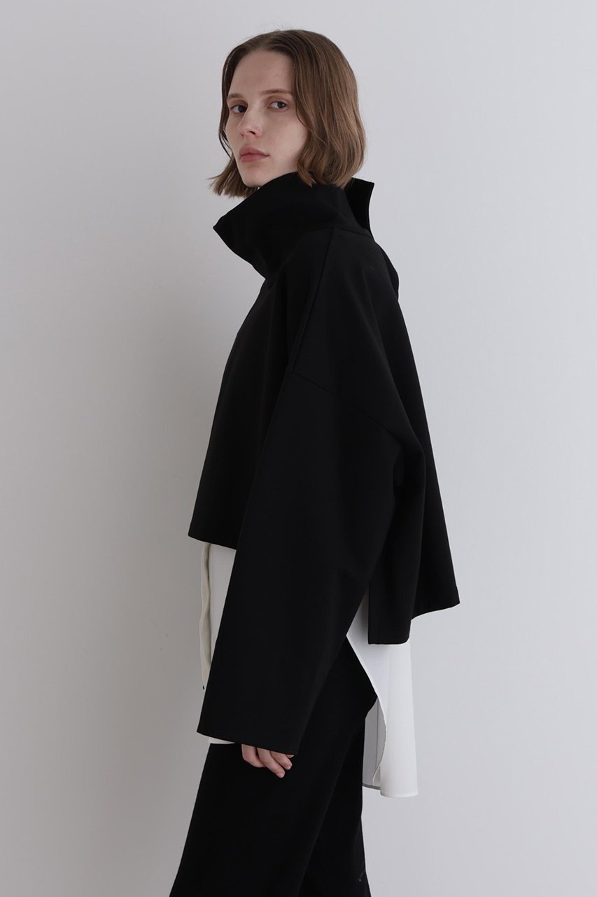 【ル フィル/LE PHIL】のハイネッククロプドプルオーバー 人気、トレンドファッション・服の通販 founy(ファニー) 　ファッション　Fashion　レディースファッション　Fashion for Women　トップス・カットソー　Cut & Sew Tops　シャツ・ブラウス・オフィスカジュアル　Elegant Blouses & Button-Ups　ロングTシャツ・Tシャツ　Longline T-Shirts & Tees　カジュアルプルオーバー・ニットトップス　Pullovers & Knit Tops / Casual Pullovers　カットソー・ベーシックTシャツ　Cut-and-Sewn Tops / Stretch Tees & Basics　インナー　Innerwear　ショート　Short, Short Length　スタンダード　Standard, Basic　スリーブ　Sleeve, Long Sleeve / Short Sleeve　ハイネック　High Neck, Mock Neck　バランス　Balance, Style Balance　ロング　Long, Long-Length　ワイド　Wide, Wide Fit　エレガント 上品　Elegant　other-4|ID: prp329100004705547 ipo3291000000035630584