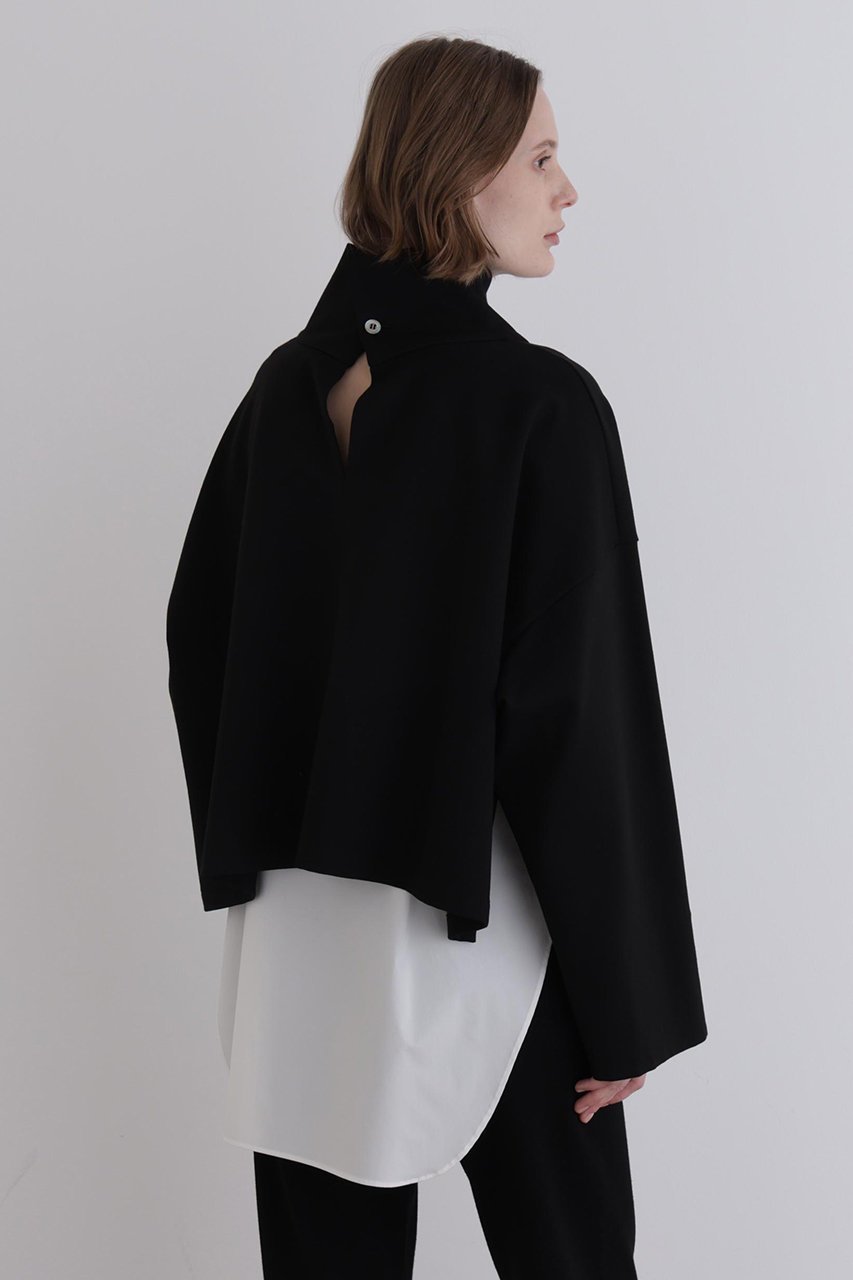 【ル フィル/LE PHIL】のハイネッククロプドプルオーバー 人気、トレンドファッション・服の通販 founy(ファニー) 　ファッション　Fashion　レディースファッション　Fashion for Women　トップス・カットソー　Cut & Sew Tops　シャツ・ブラウス・オフィスカジュアル　Elegant Blouses & Button-Ups　ロングTシャツ・Tシャツ　Longline T-Shirts & Tees　カジュアルプルオーバー・ニットトップス　Pullovers & Knit Tops / Casual Pullovers　カットソー・ベーシックTシャツ　Cut-and-Sewn Tops / Stretch Tees & Basics　インナー　Innerwear　ショート　Short, Short Length　スタンダード　Standard, Basic　スリーブ　Sleeve, Long Sleeve / Short Sleeve　ハイネック　High Neck, Mock Neck　バランス　Balance, Style Balance　ロング　Long, Long-Length　ワイド　Wide, Wide Fit　エレガント 上品　Elegant　other-5|ID: prp329100004705547 ipo3291000000035630586