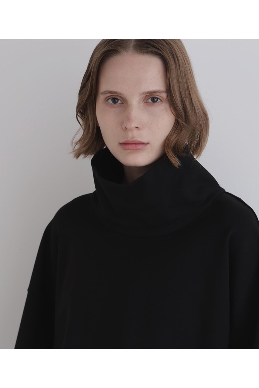 【ル フィル/LE PHIL】のハイネッククロプドプルオーバー 人気、トレンドファッション・服の通販 founy(ファニー) 　ファッション　Fashion　レディースファッション　Fashion for Women　トップス・カットソー　Cut & Sew Tops　シャツ・ブラウス・オフィスカジュアル　Elegant Blouses & Button-Ups　ロングTシャツ・Tシャツ　Longline T-Shirts & Tees　カジュアルプルオーバー・ニットトップス　Pullovers & Knit Tops / Casual Pullovers　カットソー・ベーシックTシャツ　Cut-and-Sewn Tops / Stretch Tees & Basics　インナー　Innerwear　ショート　Short, Short Length　スタンダード　Standard, Basic　スリーブ　Sleeve, Long Sleeve / Short Sleeve　ハイネック　High Neck, Mock Neck　バランス　Balance, Style Balance　ロング　Long, Long-Length　ワイド　Wide, Wide Fit　エレガント 上品　Elegant　other-6|ID: prp329100004705547 ipo3291000000035630588