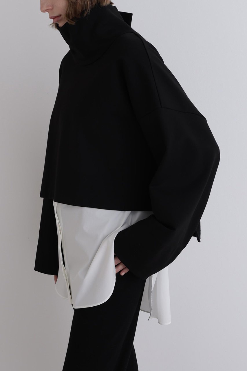 【ル フィル/LE PHIL】のハイネッククロプドプルオーバー 人気、トレンドファッション・服の通販 founy(ファニー) 　ファッション　Fashion　レディースファッション　Fashion for Women　トップス・カットソー　Cut & Sew Tops　シャツ・ブラウス・オフィスカジュアル　Elegant Blouses & Button-Ups　ロングTシャツ・Tシャツ　Longline T-Shirts & Tees　カジュアルプルオーバー・ニットトップス　Pullovers & Knit Tops / Casual Pullovers　カットソー・ベーシックTシャツ　Cut-and-Sewn Tops / Stretch Tees & Basics　インナー　Innerwear　ショート　Short, Short Length　スタンダード　Standard, Basic　スリーブ　Sleeve, Long Sleeve / Short Sleeve　ハイネック　High Neck, Mock Neck　バランス　Balance, Style Balance　ロング　Long, Long-Length　ワイド　Wide, Wide Fit　エレガント 上品　Elegant　other-7|ID: prp329100004705547 ipo3291000000035630589