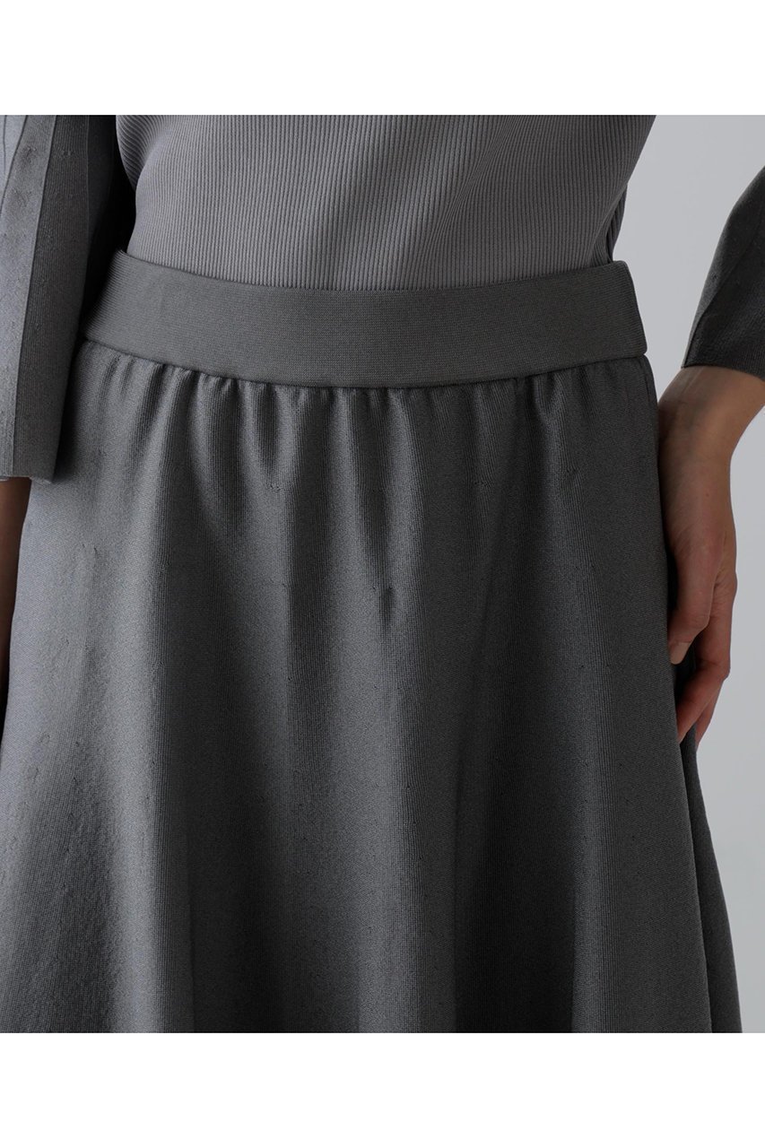 【アドーア/ADORE】のシアーフォルムドニットスカート 人気、トレンドファッション・服の通販 founy(ファニー) 　ファッション　Fashion　レディースファッション　Fashion for Women　スカート　Skirts　エレガント 上品　Elegant　スタンダード　Standard, Basic　ドレープ　Drape, Draping Fabric　バランス　Balance, Style Balance　フレア　Flare, Flared　other-7|ID: prp329100004705563 ipo3291000000036502216