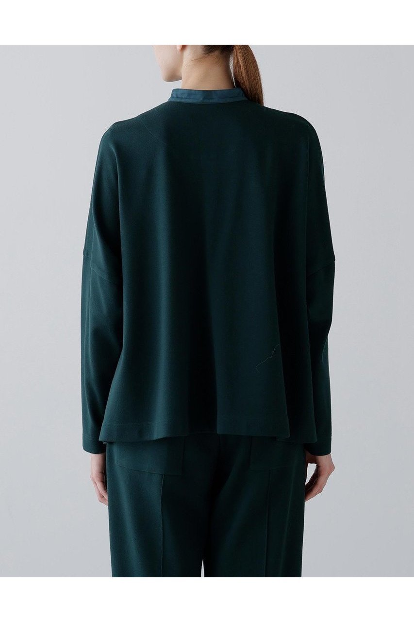 【アドーア/ADORE】のストレッチポンチプルオーバー 人気、トレンドファッション・服の通販 founy(ファニー) 　ファッション　Fashion　レディースファッション　Fashion for Women　トップス・カットソー　Cut & Sew Tops　シャツ・ブラウス・オフィスカジュアル　Elegant Blouses & Button-Ups　ロングTシャツ・Tシャツ　Longline T-Shirts & Tees　カジュアルプルオーバー・ニットトップス　Pullovers & Knit Tops / Casual Pullovers　カットソー・ベーシックTシャツ　Cut-and-Sewn Tops / Stretch Tees & Basics　おすすめ　Recommended / Our Picks　エレガント 上品　Elegant　コンビ　Combo, Combination Style　サテン　Satin, Glossy Fabric　スリーブ　Sleeve, Long Sleeve / Short Sleeve　セットアップ　Set-Up, Coordinated Outfit　ロング　Long, Long-Length　新作・新入荷　New Arrivals / New In　other-8|ID: prp329100004705637 ipo3291000000033984108