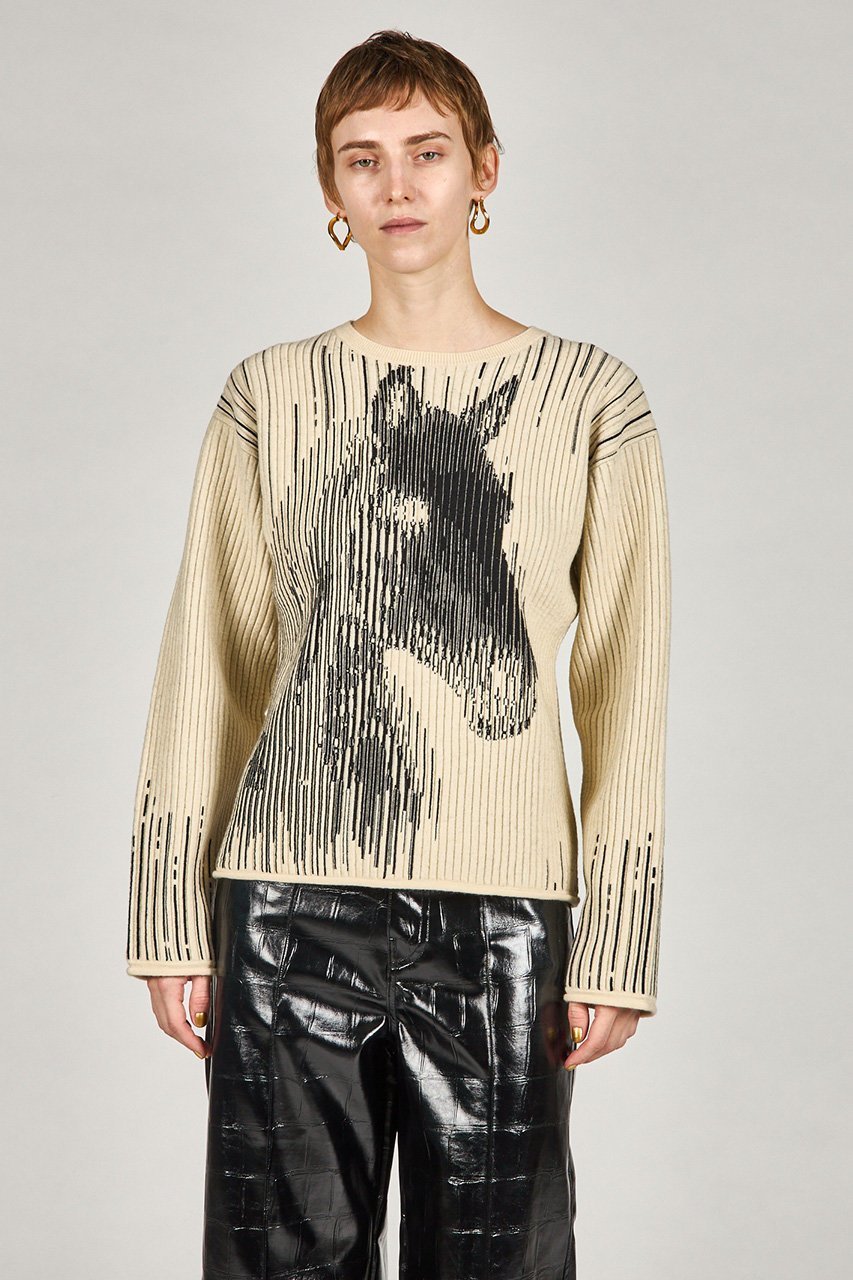 【プランク プロジェクト/PRANK PROJECT】のホースジャガードニット 人気、トレンドファッション・服の通販 founy(ファニー) ファッション Fashion レディースファッション Fashion for Women トップス・カットソー Cut & Sew Tops ニット Knit Tops & Sweaters カジュアルプルオーバー・ニットトップス Pullovers & Knit Tops / Casual Pullovers おすすめ Recommended / Our Picks スラックス Slacks, Dress Pants other-6|ID: prp329100004706790 ipo3291000000036812620