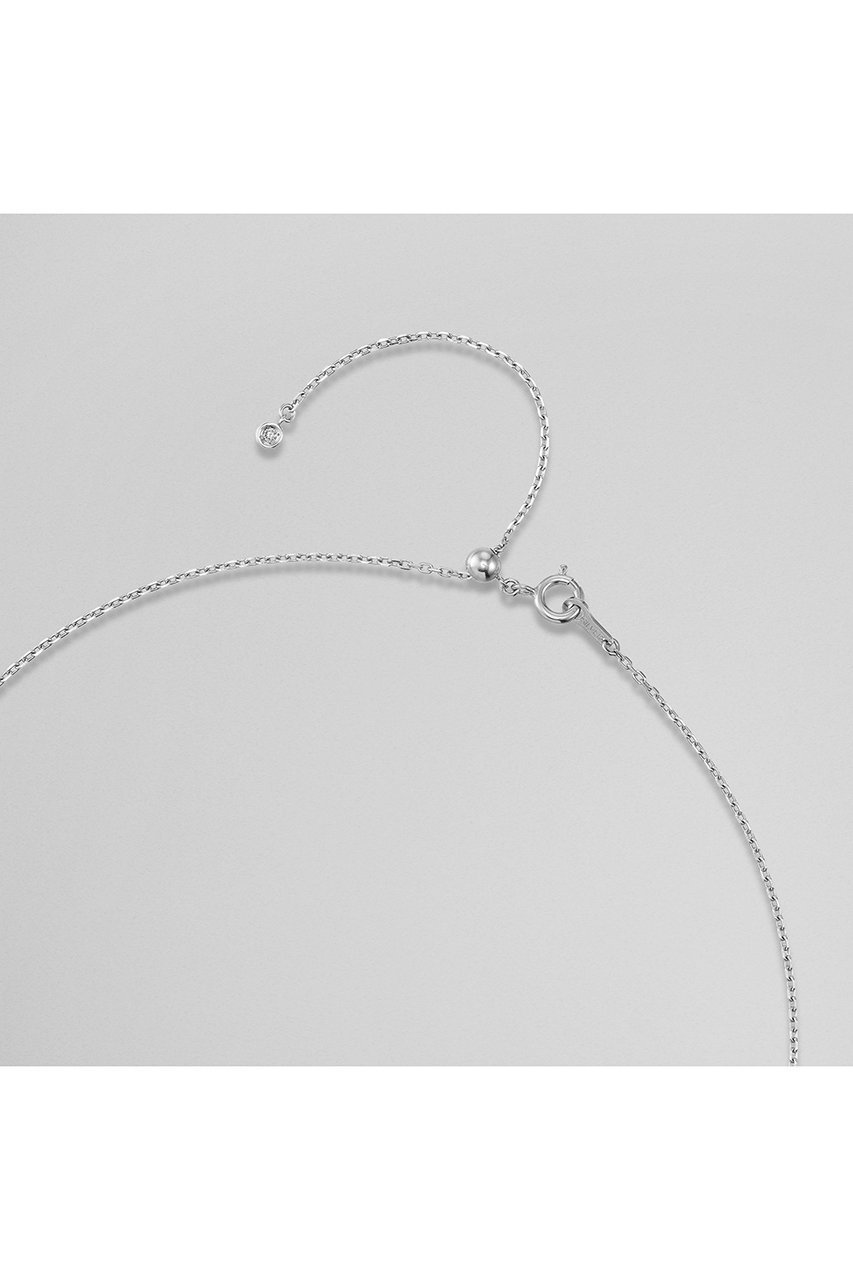 【プラス ヴァンドーム/Plus Vendome】の【TSUKUTTE】【ELLE SHOP限定】LAB モアッサナイト ネックレス 人気、トレンドファッション・服の通販 founy(ファニー) 　ファッション　Fashion　レディースファッション　Fashion for Women　ジュエリー　Jewelry　ネックレス　Necklaces & Pendants　コレクション　Collection, Seasonal Line　コーティング　Coating, Coated Finish　スタイリッシュ　Stylish, Fashionable　ダイヤモンド　Diamond, Brilliant Cut　チェーン　Chain, Chain Strap　ネックレス　Necklace, Pendant Necklace　フォーマル　Formal, Dressy　フランス　France, French　メタル　Metal, Metal Parts　ロング　Long, Long-Length　おすすめ　Recommended / Our Picks　other-6|ID: prp329100004709203 ipo3291000000035804341