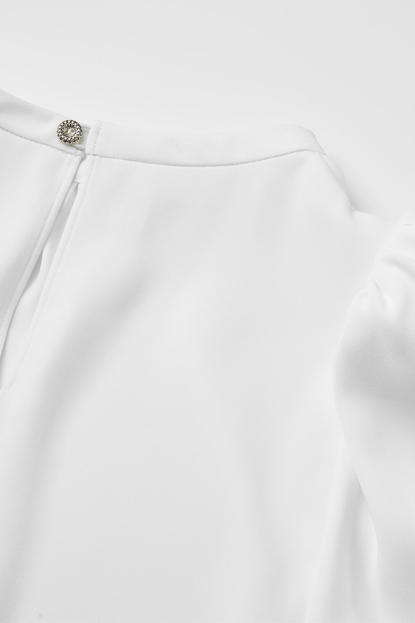 【デイジーリン/DAISY LIN】のBlouse “Audrey Ribbon II” 人気、トレンドファッション・服の通販 founy(ファニー) 　ファッション　Fashion　レディースファッション　Fashion for Women　トップス・カットソー　Cut & Sew Tops　シャツ・ブラウス・オフィスカジュアル　Elegant Blouses & Button-Ups　ウォッシャブル　Machine Washable　シンプル　Simple, Minimal　スリーブ　Sleeve, Long Sleeve / Short Sleeve　チュール　Tulip, Tulip Motif　ドレープ　Drape, Draping Fabric　フロント　Front, Front Design　リボン　Ribbon, Bow　ロング　Long, Long-Length　人気　Popular, Best Seller　秋　Autumn　other-5|ID: prp329100004713045 ipo3291000000035832403