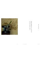 thumbnail other-3