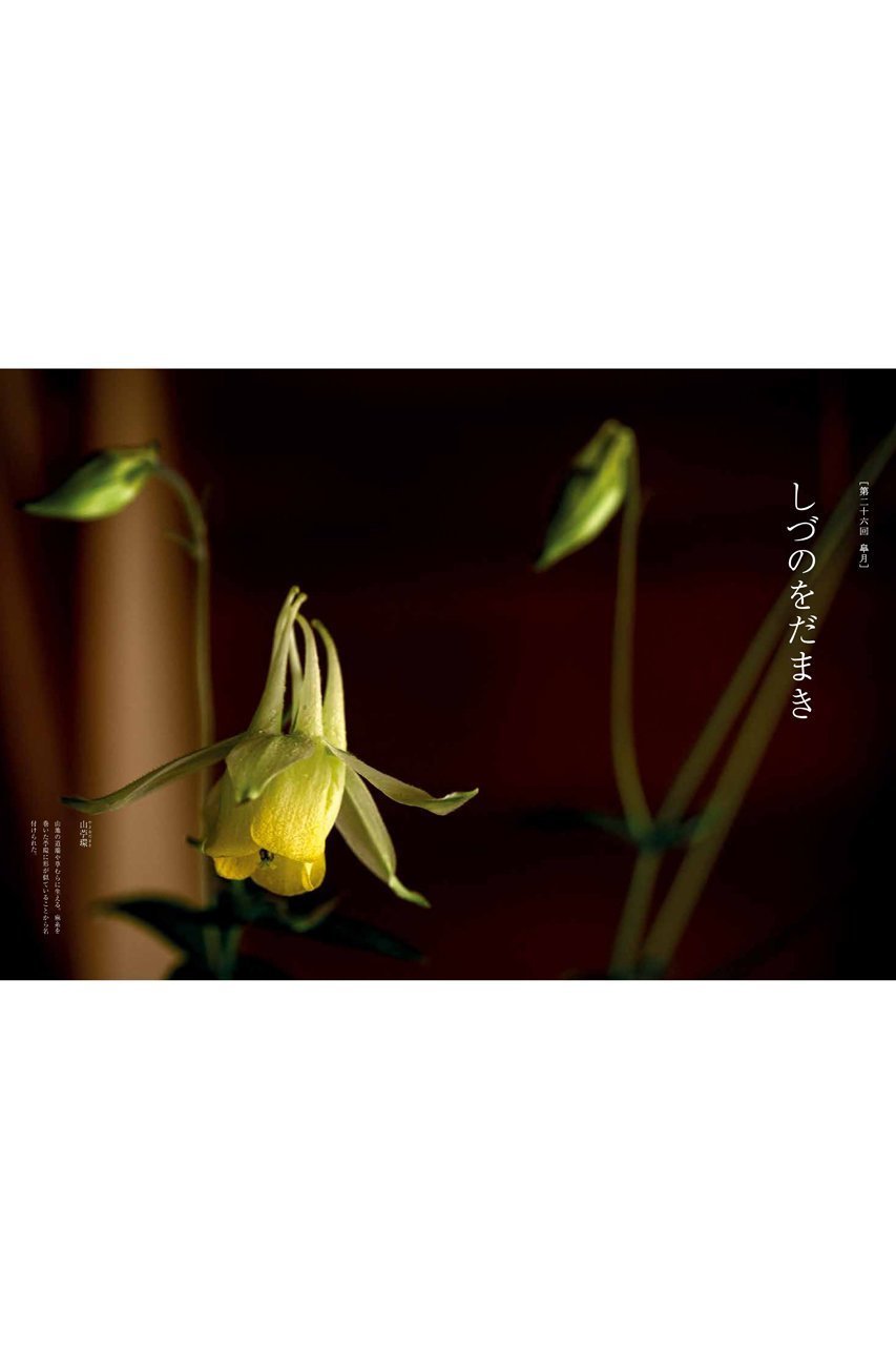 【ハースト婦人画報社/Hearst Fujingaho】の【送料無料】婦人画報書籍 「折々の花 壱」「折々の花 弐」2巻セット(2025/10/1発売) 人気、トレンドファッション・服の通販 founy(ファニー) 　ファッション　Fashion　レディースファッション　Fashion for Women　雑誌　Magazine, Fashion Magazine　ニューヨーク　New York, NYC Style　人気　Popular, Best Seller　フランス　France, French　送料無料　Free Shipping　新作・新入荷　New Arrivals / New In　other-4|ID: prp329100004715375 ipo3291000000034068308