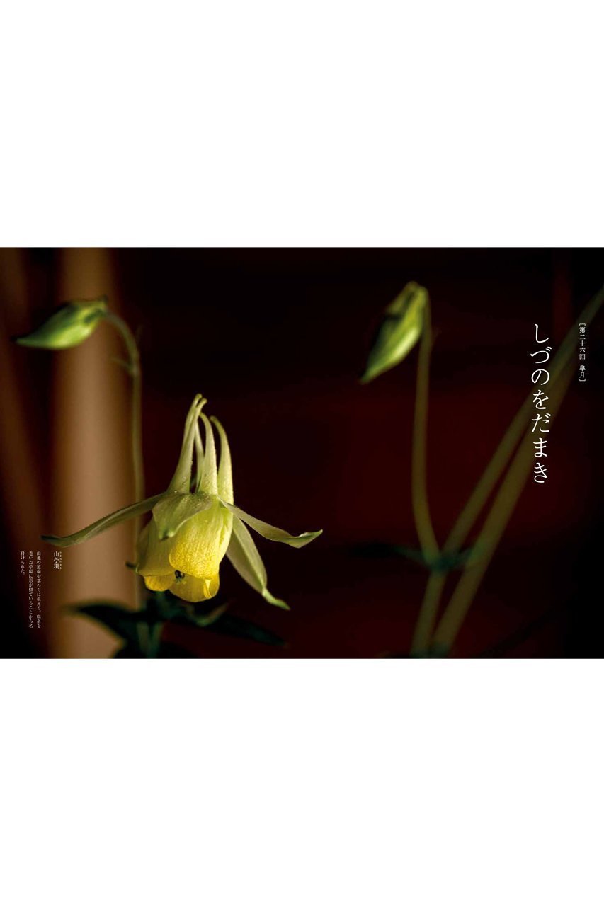 【ハースト婦人画報社/Hearst Fujingaho / GOODS】の【送料無料】婦人画報書籍 「折々の花 弐」(2025/10/1発売) 人気、トレンドファッション・服の通販 founy(ファニー) 　雑誌　Magazine, Fashion Magazine　ニューヨーク　New York, NYC Style　人気　Popular, Best Seller　フランス　France, French　送料無料　Free Shipping　other-2|ID: prp329100004715377 ipo3291000000035717292