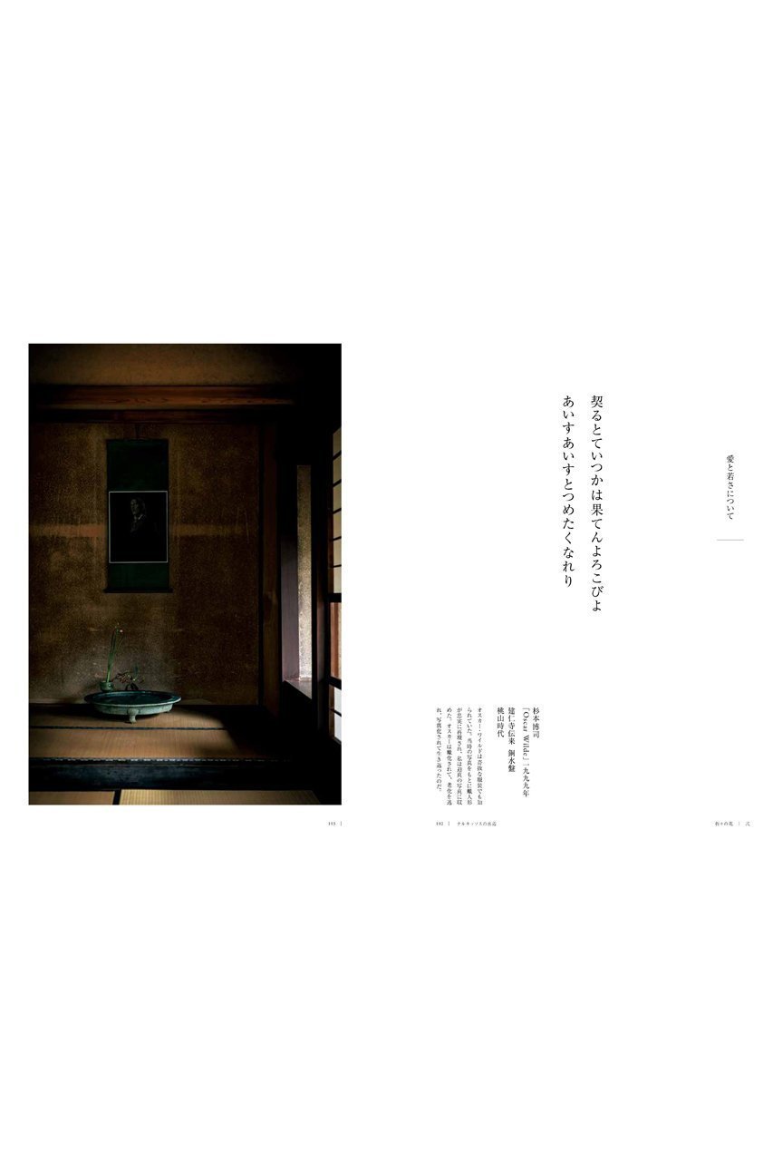 【ハースト婦人画報社/Hearst Fujingaho / GOODS】の【送料無料】婦人画報書籍 「折々の花 弐」(2025/10/1発売) 人気、トレンドファッション・服の通販 founy(ファニー) 　雑誌　Magazine, Fashion Magazine　ニューヨーク　New York, NYC Style　人気　Popular, Best Seller　フランス　France, French　送料無料　Free Shipping　other-5|ID: prp329100004715377 ipo3291000000035717299