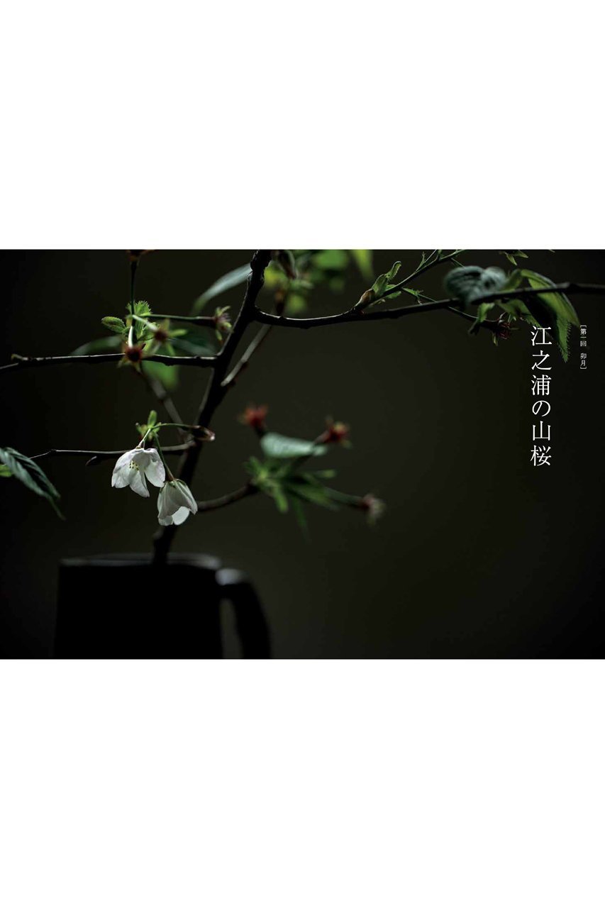 【ハースト婦人画報社/Hearst Fujingaho】の【送料無料】婦人画報書籍 「折々の花 壱」(2025/10/1発売) 人気、トレンドファッション・服の通販 founy(ファニー) 　ファッション　Fashion　レディースファッション　Fashion for Women　雑誌　Magazine, Fashion Magazine　ニューヨーク　New York, NYC Style　人気　Popular, Best Seller　フランス　France, French　送料無料　Free Shipping　新作・新入荷　New Arrivals / New In　other-3|ID: prp329100004715379 ipo3291000000034068333