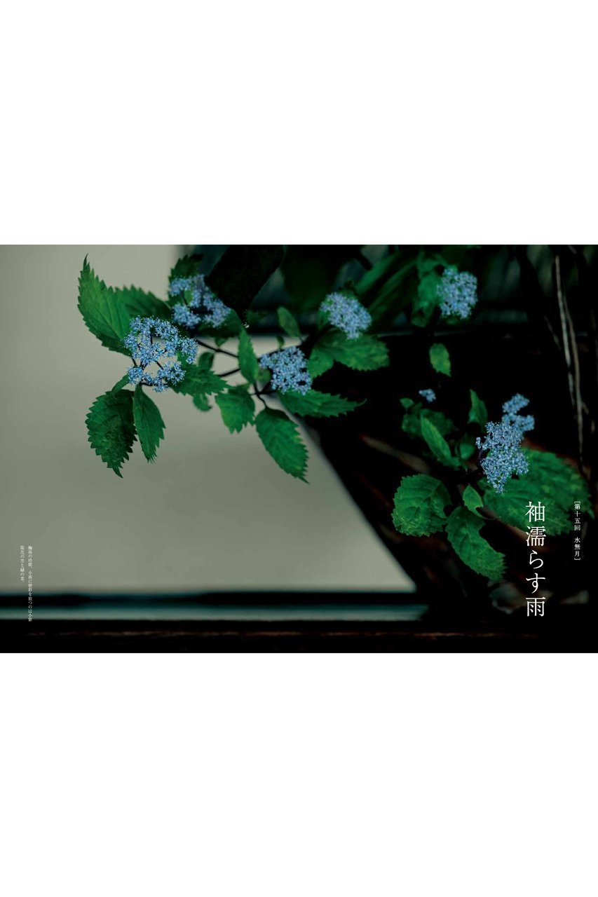 【ハースト婦人画報社/Hearst Fujingaho】の【送料無料】婦人画報書籍 「折々の花 壱」(2025/10/1発売) 人気、トレンドファッション・服の通販 founy(ファニー) 　ファッション　Fashion　レディースファッション　Fashion for Women　雑誌　Magazine, Fashion Magazine　ニューヨーク　New York, NYC Style　人気　Popular, Best Seller　フランス　France, French　送料無料　Free Shipping　新作・新入荷　New Arrivals / New In　other-5|ID: prp329100004715379 ipo3291000000034068335