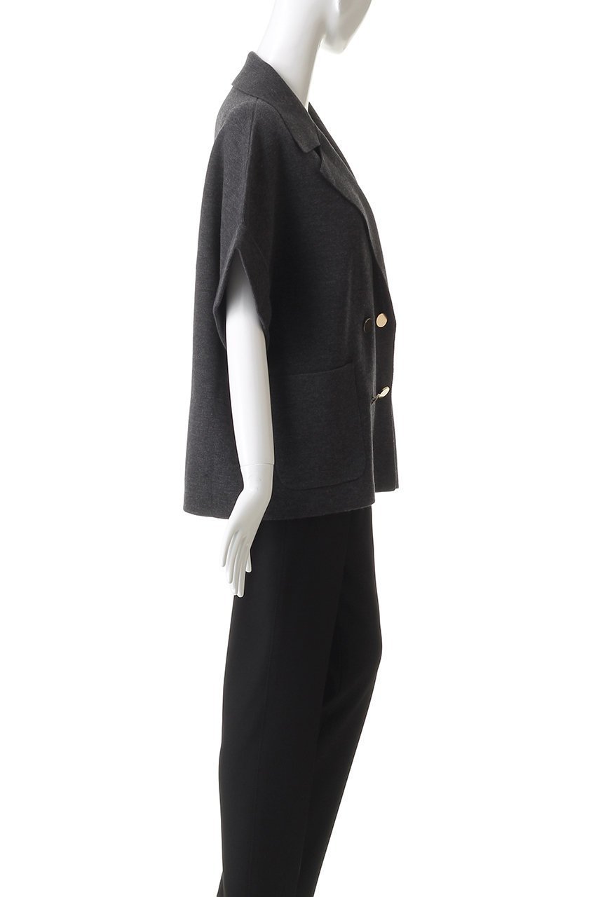 【アナイ/ANAYI】のメリノウールテーラードジレ 人気、トレンドファッション・服の通販 founy(ファニー) 　ファッション　Fashion　レディースファッション　Fashion for Women　アウター　Coat / Outerwear Collection　レディースジャケット・軽アウター　Jackets　なめらか　Smooth, Silky Texture　ジャケット　Jacket, Outerwear　スリーブ　Sleeve, Long Sleeve / Short Sleeve　テーラード　Tailored, Tailored Fit　トレンド　Trend, Trending Now　ドロップ　Drop Shoulder, Dropped Style　ベスト　Vest, Waistcoat　ポケット　Pocket, Pocket Detail　ミラノリブ　Milano Rib, Milano Stitch　other-3|ID: prp329100004715428 ipo3291000000035800877