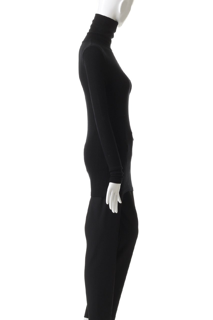 【スリー ドッツ/three dots】のレーヨンニットリブジャージー タートルトップ 人気、トレンドファッション・服の通販 founy(ファニー) 　ファッション　Fashion　レディースファッション　Fashion for Women　トップス・カットソー　Cut & Sew Tops　ニット　Knit Tops & Sweaters　シャツ・ブラウス・オフィスカジュアル　Elegant Blouses & Button-Ups　ロングTシャツ・Tシャツ　Longline T-Shirts & Tees　カットソー・ベーシックTシャツ　Cut-and-Sewn Tops / Stretch Tees & Basics　スリーブ　Sleeve, Long Sleeve / Short Sleeve　タートル　Turtleneck, Turtle Collar　ドレス　Dress, One-Piece　フィット　Fit, Slim Fit　ベスト　Vest, Waistcoat　ロング　Long, Long-Length　新作・新入荷　New Arrivals / New In　A/W・秋冬　Autumn/Winter　other-3|ID: prp329100004715440 ipo3291000000034068738