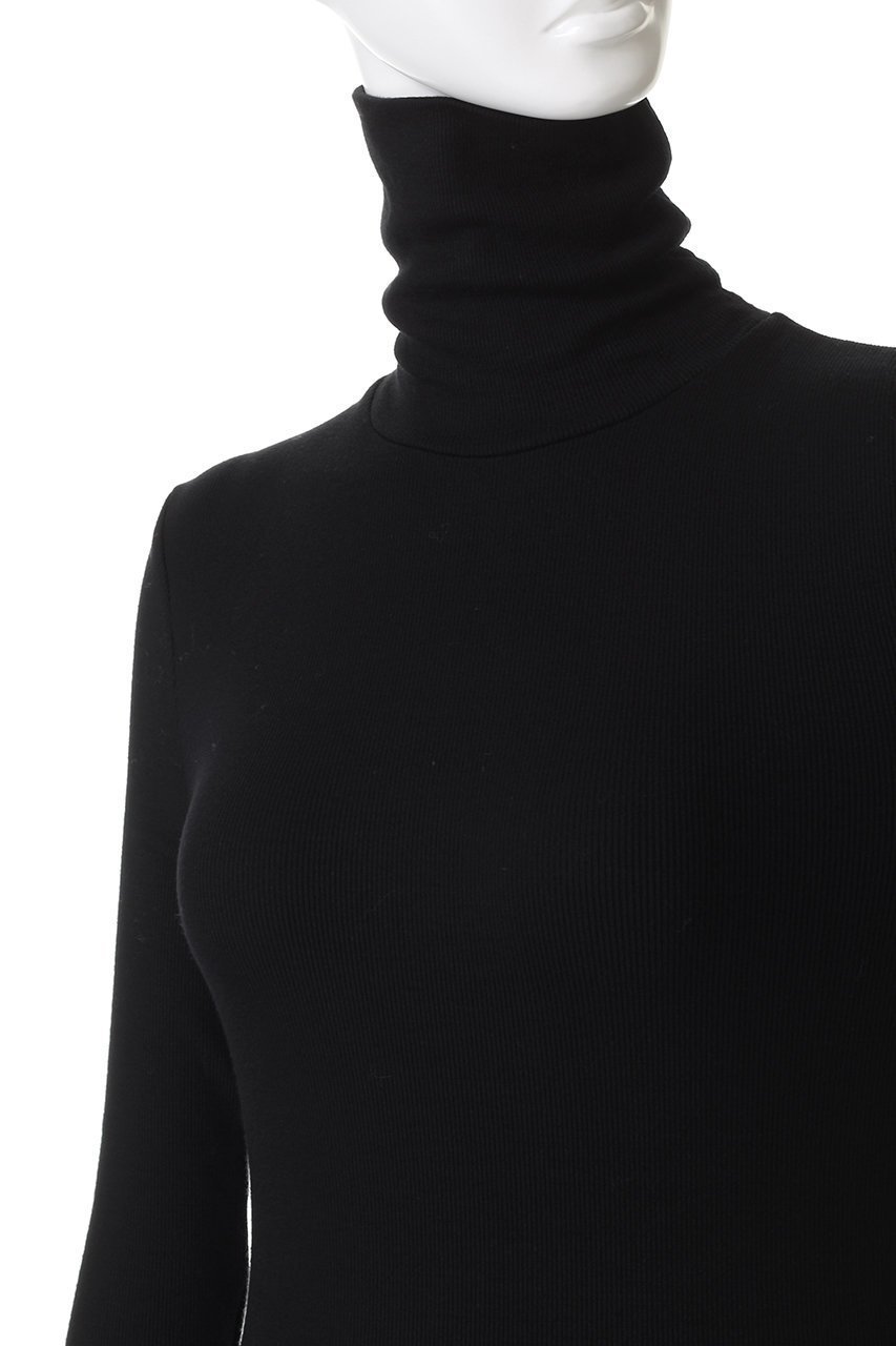 【スリー ドッツ/three dots】のレーヨンニットリブジャージー タートルトップ 人気、トレンドファッション・服の通販 founy(ファニー) 　ファッション　Fashion　レディースファッション　Fashion for Women　トップス・カットソー　Cut & Sew Tops　ニット　Knit Tops & Sweaters　シャツ・ブラウス・オフィスカジュアル　Elegant Blouses & Button-Ups　ロングTシャツ・Tシャツ　Longline T-Shirts & Tees　カットソー・ベーシックTシャツ　Cut-and-Sewn Tops / Stretch Tees & Basics　スリーブ　Sleeve, Long Sleeve / Short Sleeve　タートル　Turtleneck, Turtle Collar　ドレス　Dress, One-Piece　フィット　Fit, Slim Fit　ベスト　Vest, Waistcoat　ロング　Long, Long-Length　新作・新入荷　New Arrivals / New In　A/W・秋冬　Autumn/Winter　other-5|ID: prp329100004715440 ipo3291000000034068740