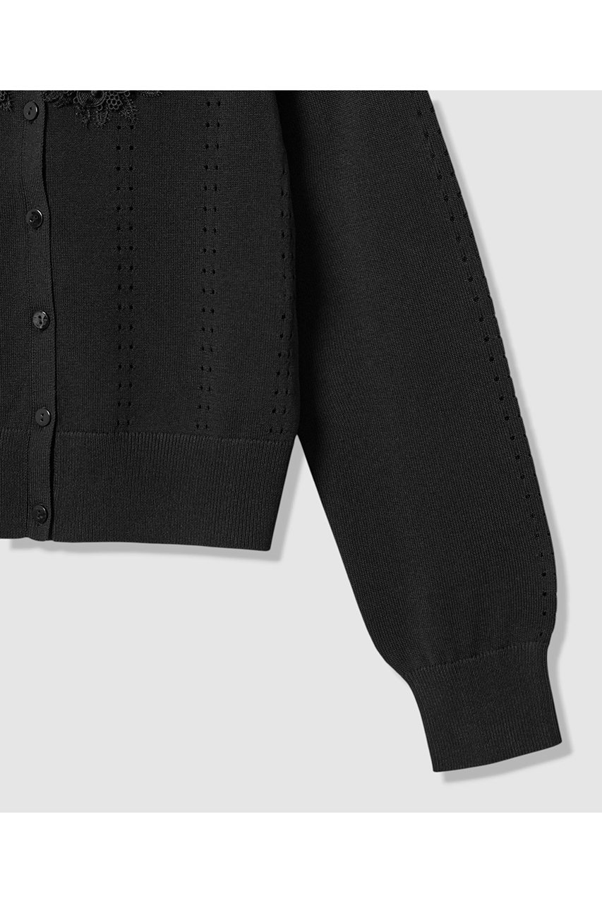 【アナイ/ANAYI】の立体フラワーレースV カーディガン 人気、トレンドファッション・服の通販 founy(ファニー) 　ファッション　Fashion　レディースファッション　Fashion for Women　トップス・カットソー　Cut & Sew Tops　ニット　Knit Tops & Sweaters　カーディガン・羽織り　Layered Style Cardigans　おすすめ　Recommended / Our Picks　なめらか　Smooth, Silky Texture　アイレット　Eyelet Lace　カーディガン　Cardigan, Knitwear　コンパクト　Compact, Small Size　ストレッチ　Stretch, Stretchy Fabric　スリーブ　Sleeve, Long Sleeve / Short Sleeve　デコルテ　Décolleté, Neckline　フラワー　Flower, Floral　レース　Lace, Lace Fabric　新作・新入荷　New Arrivals / New In　other-5|ID: prp329100004716614 ipo3291000000034078882