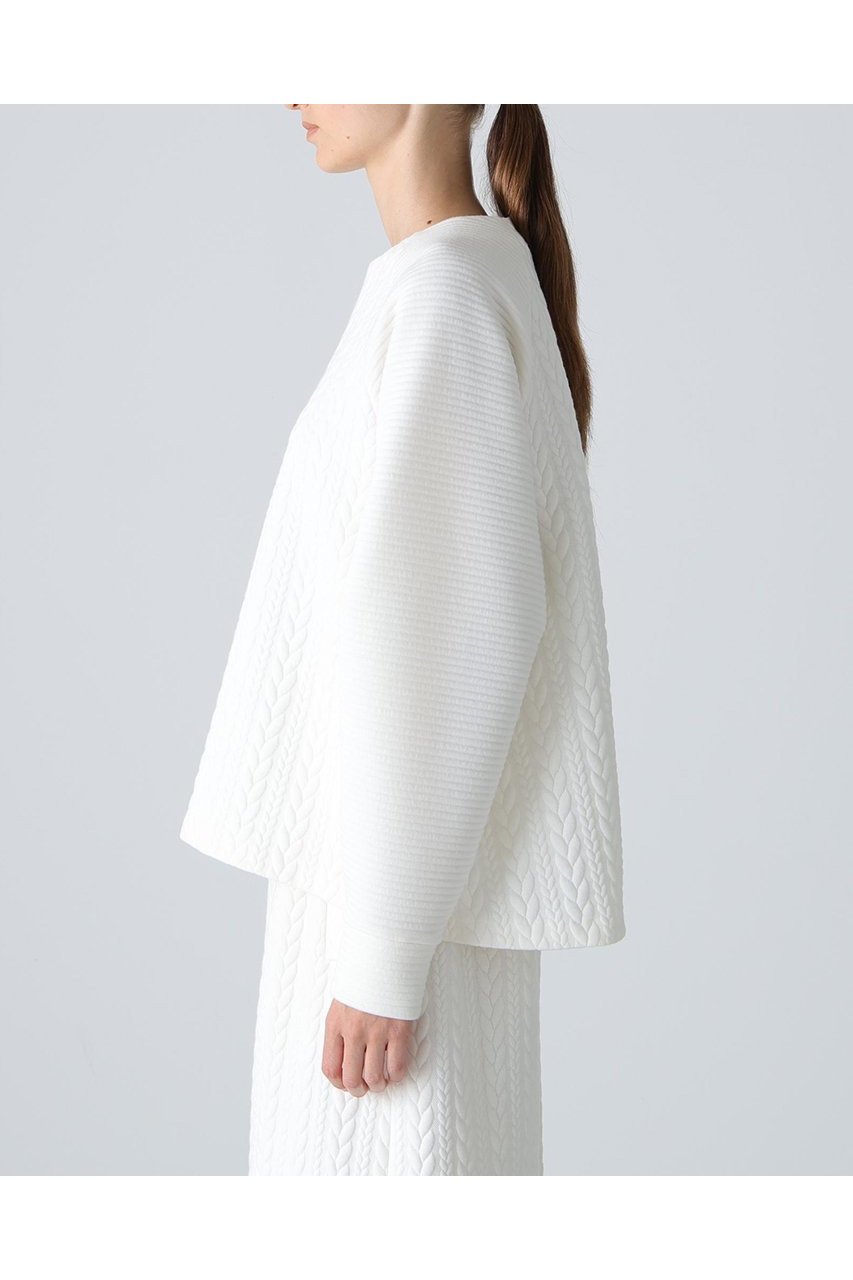 【アドーア/ADORE】のジャガードジャージートップス 人気、トレンドファッション・服の通販 founy(ファニー) 　ファッション　Fashion　レディースファッション　Fashion for Women　トップス・カットソー　Cut & Sew Tops　シャツ・ブラウス・オフィスカジュアル　Elegant Blouses & Button-Ups　ロングTシャツ・Tシャツ　Longline T-Shirts & Tees　カットソー・ベーシックTシャツ　Cut-and-Sewn Tops / Stretch Tees & Basics　カットソー　Cut and Sewn Top　ジャカード／ジャガード　Jacquard, Woven Pattern　スリーブ　Sleeve, Long Sleeve / Short Sleeve　ヘムライン　Hemline, Bottom Cut　ロング　Long, Long-Length　other-4|ID: prp329100004717740 ipo3291000000034089562