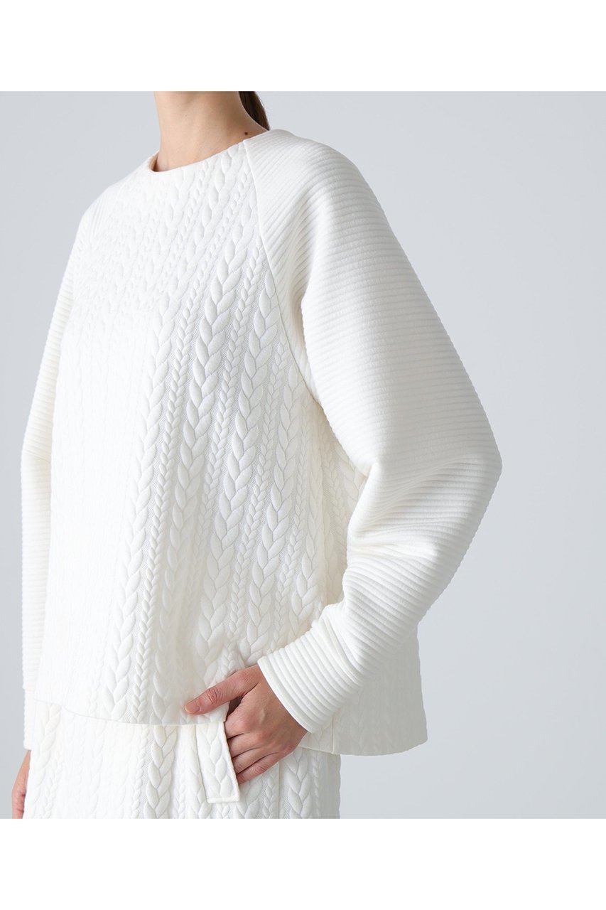 【アドーア/ADORE】のジャガードジャージートップス 人気、トレンドファッション・服の通販 founy(ファニー) 　ファッション　Fashion　レディースファッション　Fashion for Women　トップス・カットソー　Cut & Sew Tops　シャツ・ブラウス・オフィスカジュアル　Elegant Blouses & Button-Ups　ロングTシャツ・Tシャツ　Longline T-Shirts & Tees　カットソー・ベーシックTシャツ　Cut-and-Sewn Tops / Stretch Tees & Basics　カットソー　Cut and Sewn Top　ジャカード／ジャガード　Jacquard, Woven Pattern　スリーブ　Sleeve, Long Sleeve / Short Sleeve　ヘムライン　Hemline, Bottom Cut　ロング　Long, Long-Length　other-7|ID: prp329100004717740 ipo3291000000034089565