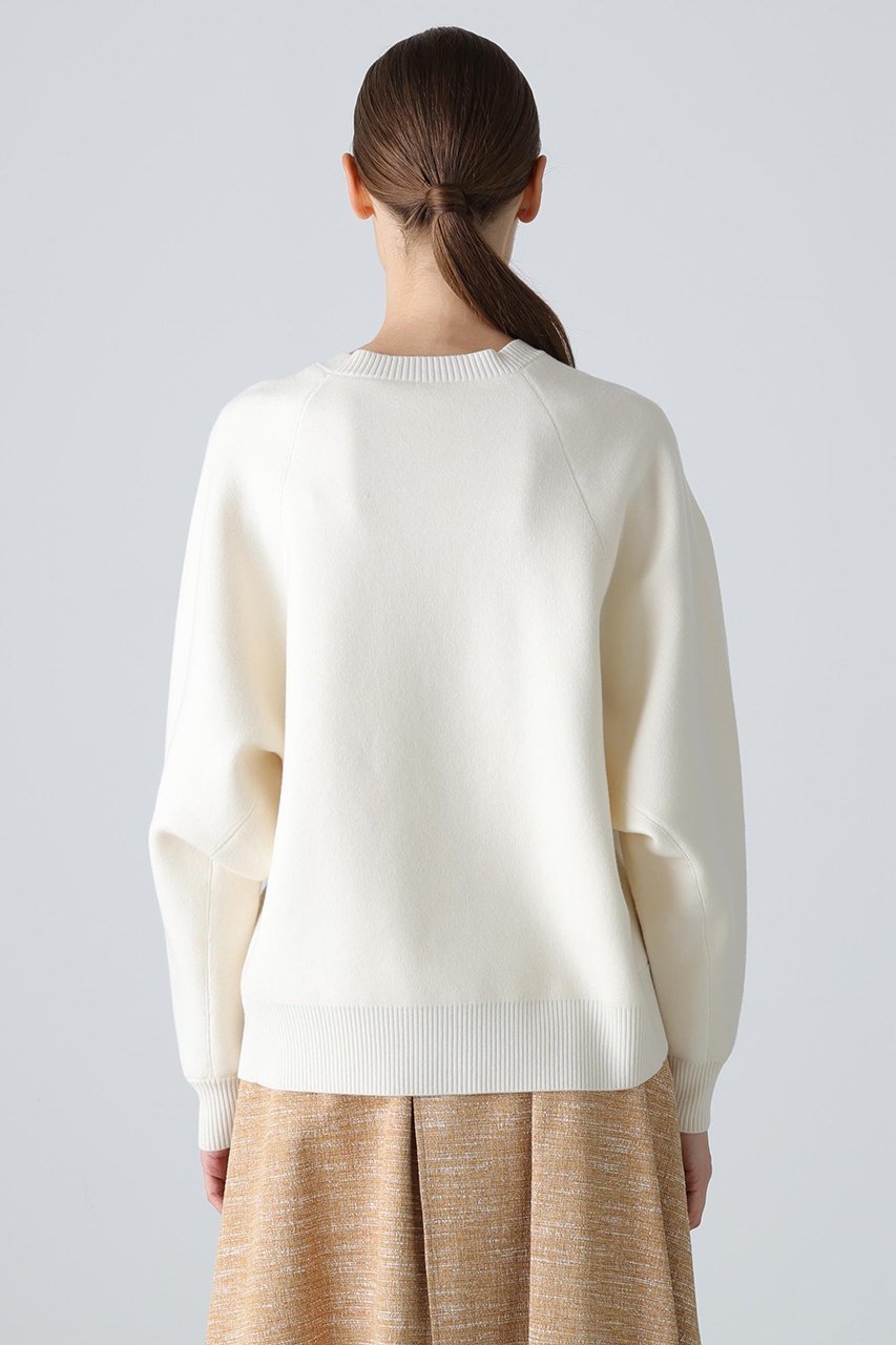 【アドーア/ADORE】のイニシャルニット 人気、トレンドファッション・服の通販 founy(ファニー) 　ファッション　Fashion　レディースファッション　Fashion for Women　トップス・カットソー　Cut & Sew Tops　ニット　Knit Tops & Sweaters　カジュアルプルオーバー・ニットトップス　Pullovers & Knit Tops / Casual Pullovers　スウェット / スエット　Sweatshirt, Sweatwear　スリーブ　Sleeve, Long Sleeve / Short Sleeve　エレガント 上品　Elegant　other-5|ID: prp329100004717765 ipo3291000000034089761