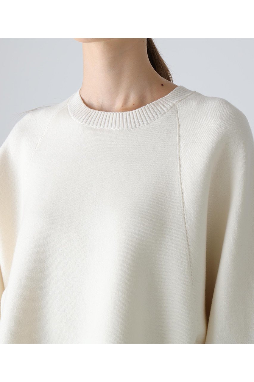 【アドーア/ADORE】のイニシャルニット 人気、トレンドファッション・服の通販 founy(ファニー) 　ファッション　Fashion　レディースファッション　Fashion for Women　トップス・カットソー　Cut & Sew Tops　ニット　Knit Tops & Sweaters　カジュアルプルオーバー・ニットトップス　Pullovers & Knit Tops / Casual Pullovers　スウェット / スエット　Sweatshirt, Sweatwear　スリーブ　Sleeve, Long Sleeve / Short Sleeve　エレガント 上品　Elegant　other-6|ID: prp329100004717765 ipo3291000000034089762