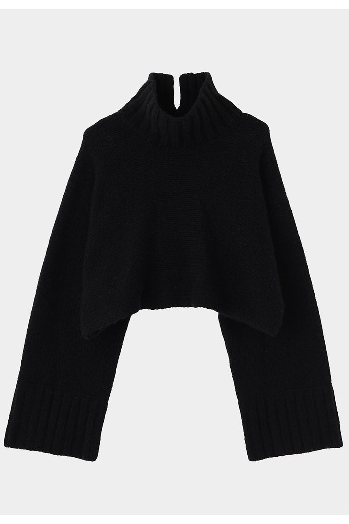 【ル フィル/LE PHIL】のタートルネックプルオーバーニット インテリア・キッズ・メンズ・レディースファッション・服の通販 founy(ファニー) https://founy.com/ ファッション Fashion レディースファッション Fashion for Women トップス・カットソー Cut & Sew Tops ニット Knit Tops & Sweaters カジュアルプルオーバー・ニットトップス Pullovers & Knit Tops / Casual Pullovers タートルネック・ハイネックトップス Turtlenecks & High-Neck Tops ショート Short, Short Length タートル Turtleneck, Turtle Collar ロング Long, Long-Length |ID: prp329100004717949 ipo3291000000034091083