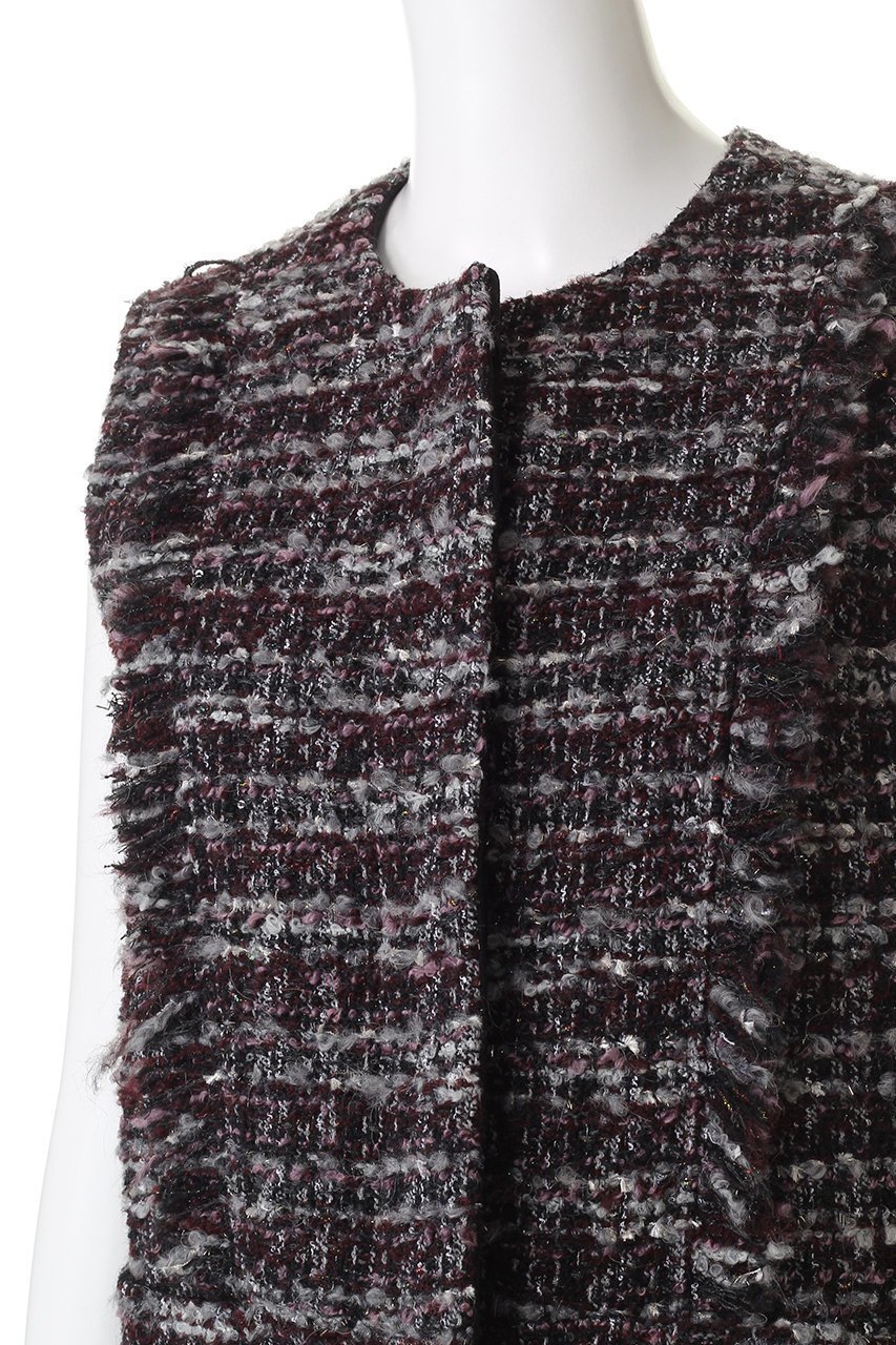 【デパリエ/DEPAREILLE】のミックスツイードジレ 人気、トレンドファッション・服の通販 founy(ファニー) 　ファッション　Fashion　レディースファッション　Fashion for Women　アウター　Coat / Outerwear Collection　レディースジャケット・軽アウター　Jackets　おすすめ　Recommended / Our Picks　ジャケット　Jacket, Outerwear　セレモニー　Ceremony　フリンジ　Fringe, Tassel　ベスト　Vest, Waistcoat　エレガント 上品　Elegant　other-5|ID: prp329100004719439 ipo3291000000035924815