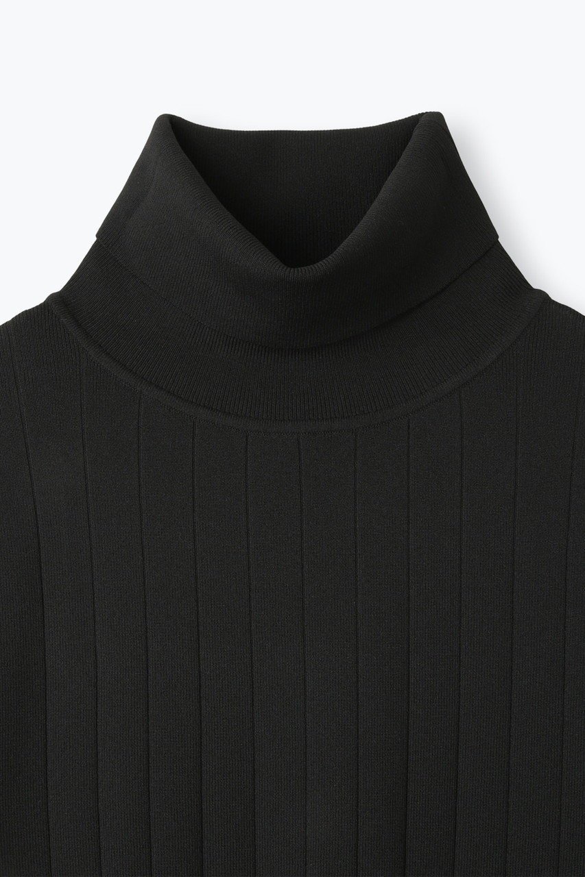 【レリル/lelill】のハイテクワイドリブニット 人気、トレンドファッション・服の通販 founy(ファニー) 　ファッション　Fashion　レディースファッション　Fashion for Women　トップス・カットソー　Cut & Sew Tops　ニット　Knit Tops & Sweaters　カジュアルプルオーバー・ニットトップス　Pullovers & Knit Tops / Casual Pullovers　タートルネック　Turtleneck, High Neck　リブニット　Rib Knit, Ribbed Knit　ワイドリブ　Wide Rib, Wide Ribbed Knit　新作・新入荷　New Arrivals / New In　洗える　Machine Washable　other-3|ID: prp329100004727478 ipo3291000000034153581
