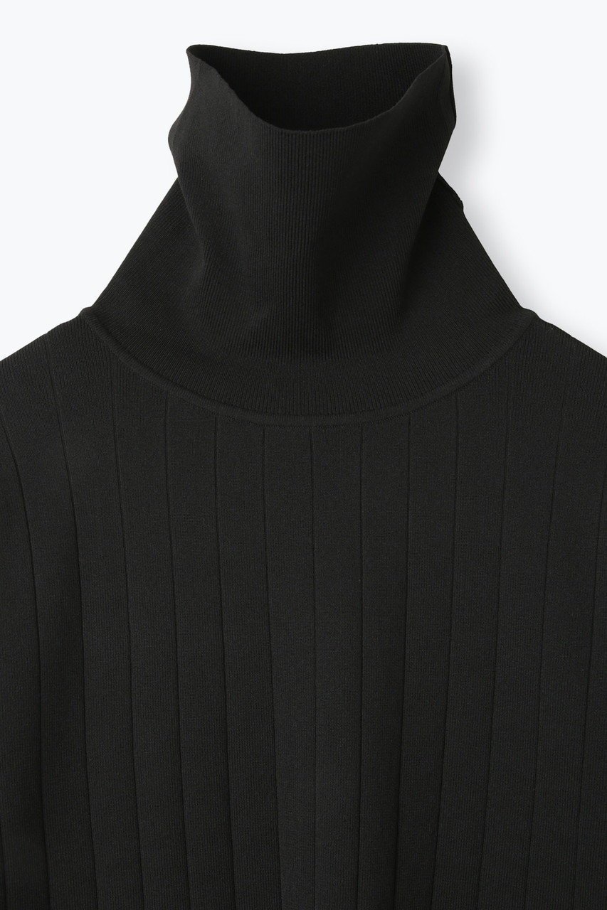【レリル/lelill】のハイテクワイドリブニット 人気、トレンドファッション・服の通販 founy(ファニー) 　ファッション　Fashion　レディースファッション　Fashion for Women　トップス・カットソー　Cut & Sew Tops　ニット　Knit Tops & Sweaters　カジュアルプルオーバー・ニットトップス　Pullovers & Knit Tops / Casual Pullovers　タートルネック　Turtleneck, High Neck　リブニット　Rib Knit, Ribbed Knit　ワイドリブ　Wide Rib, Wide Ribbed Knit　洗える　Machine Washable　other-4|ID: prp329100004727478 ipo3291000000035568689