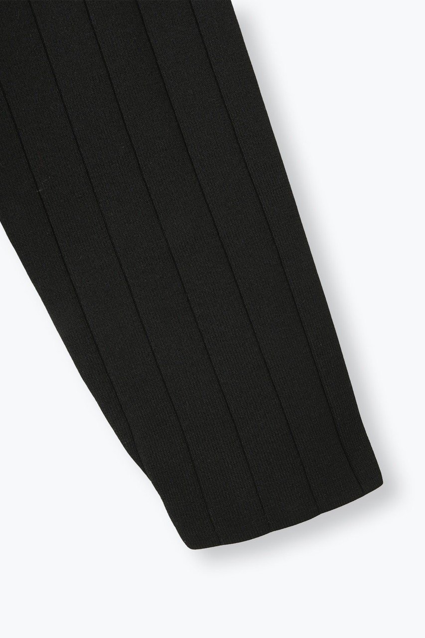 【レリル/lelill】のハイテクワイドリブニット 人気、トレンドファッション・服の通販 founy(ファニー) 　ファッション　Fashion　レディースファッション　Fashion for Women　トップス・カットソー　Cut & Sew Tops　ニット　Knit Tops & Sweaters　カジュアルプルオーバー・ニットトップス　Pullovers & Knit Tops / Casual Pullovers　タートルネック　Turtleneck, High Neck　リブニット　Rib Knit, Ribbed Knit　ワイドリブ　Wide Rib, Wide Ribbed Knit　洗える　Machine Washable　other-5|ID: prp329100004727478 ipo3291000000035568690