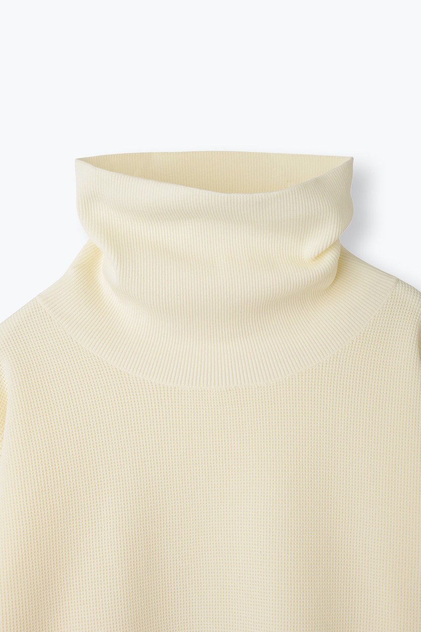 【レリル/lelill】のハイテクワッフル タートルニット 人気、トレンドファッション・服の通販 founy(ファニー) 　ファッション　Fashion　レディースファッション　Fashion for Women　トップス・カットソー　Cut & Sew Tops　ニット　Knit Tops & Sweaters　カジュアルプルオーバー・ニットトップス　Pullovers & Knit Tops / Casual Pullovers　スリム　Slim, Slim Fit　セーター　Sweater, Knitwear　タートル　Turtleneck, Turtle Collar　タートルネック　Turtleneck, High Neck　ワッフル　Waffle, Waffle Knit　新作・新入荷　New Arrivals / New In　洗える　Machine Washable　A/W・秋冬　Autumn/Winter　other-4|ID: prp329100004727484 ipo3291000000034153640