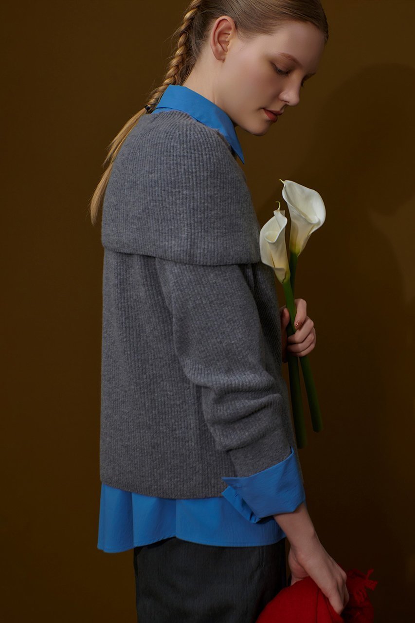 【アルアバイル/allureville】のビッグカラー2WAY NC プルオーバー 人気、トレンドファッション・服の通販 founy(ファニー) 　ファッション　Fashion　レディースファッション　Fashion for Women　トップス・カットソー　Cut & Sew Tops　ニット　Knit Tops & Sweaters　カジュアルプルオーバー・ニットトップス　Pullovers & Knit Tops / Casual Pullovers　おすすめ　Recommended / Our Picks　デコルテ　Décolleté, Neckline　ネックレス　Necklace, Pendant Necklace　ビッグ　Big, Oversized　other-8|ID: prp329100004727507 ipo3291000000034347574