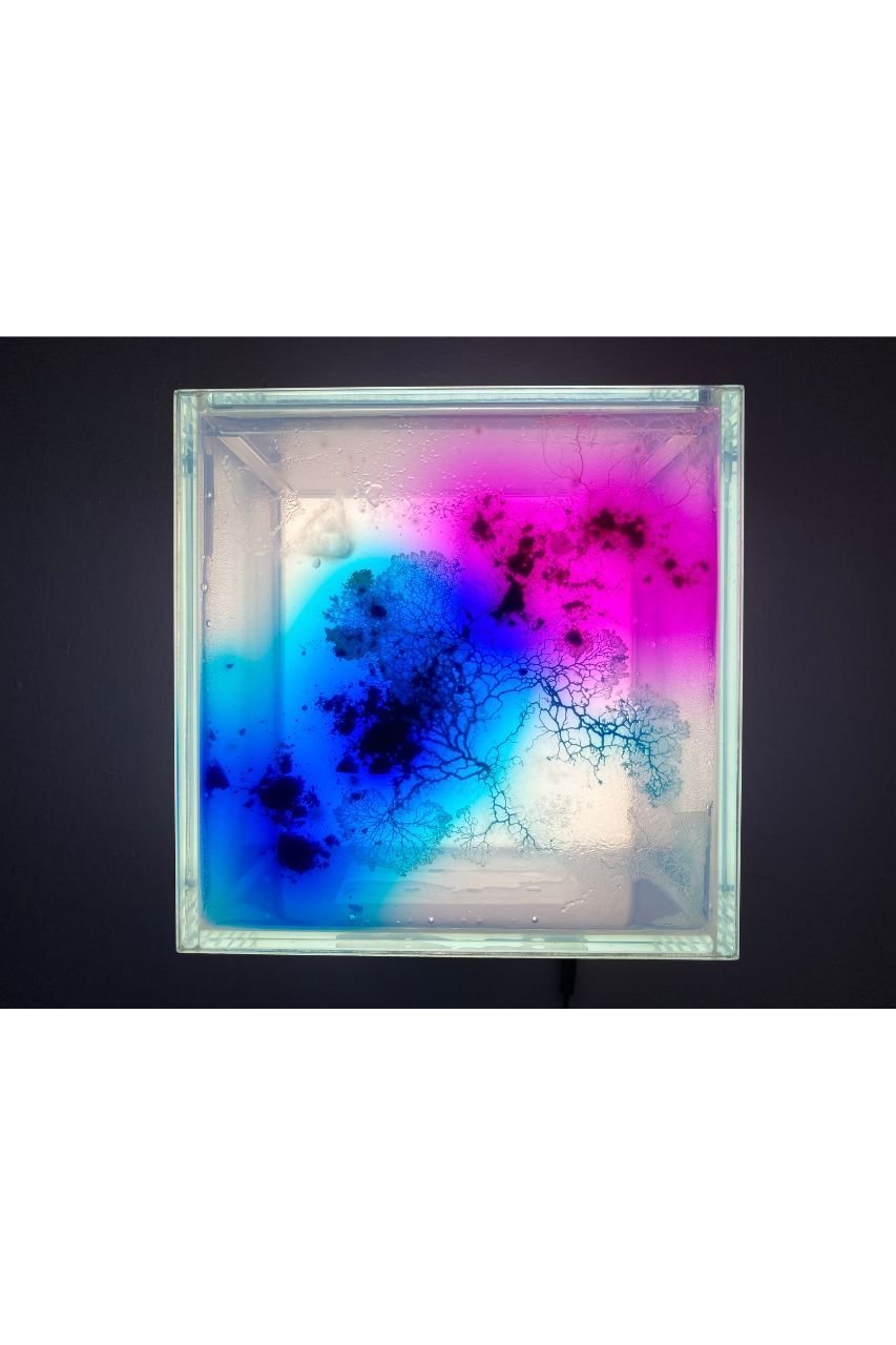 【ミートユアアート/MEET YOUR ART】の【受注生産】【齋藤 帆奈】Eaten Colors ver.1 人気、トレンドファッション・服の通販 founy(ファニー) 　ファッション　Fashion　レディースファッション　Fashion for Women　ガラス　Glass, Glassware　パターン　Pattern, Design Print　ユニセックス　Unisex, Genderless　卒業式　Graduation Ceremony　新作・新入荷　New Arrivals / New In　other-2|ID: prp329100004729546 ipo3291000000034166729