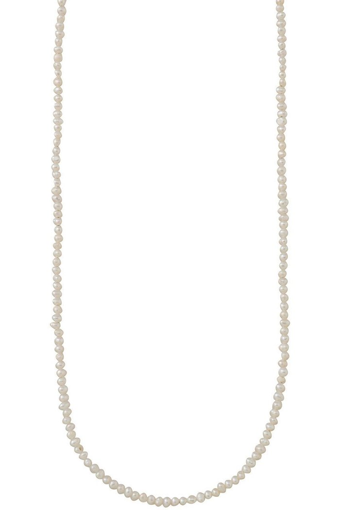 【ガリャルダガランテ/GALLARDAGALANTE】のシードパールショートネックレス インテリア・キッズ・メンズ・レディースファッション・服の通販 founy(ファニー) https://founy.com/ ファッション Fashion レディースファッション Fashion for Women ジュエリー Jewelry ネックレス Necklaces & Pendants おすすめ Recommended / Our Picks ネックレス Necklace, Pendant Necklace パール Pearl, Pearl Accent |ID: prp329100004739939 ipo3291000000036072292