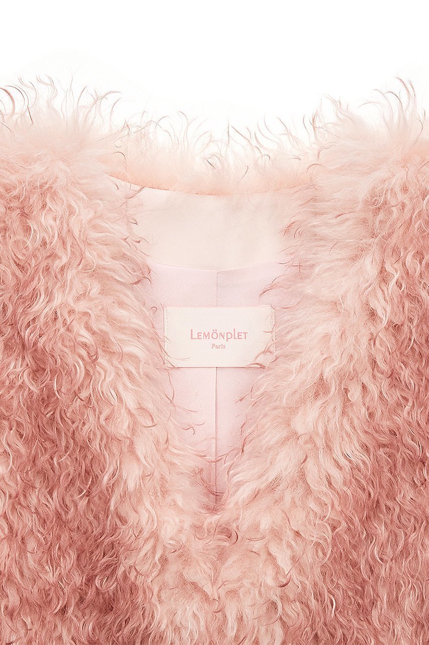 【レモンプレット/Lemonplet】のFAUX FUR KUN MG VEST 人気、トレンドファッション・服の通販 founy(ファニー) 　ファッション　Fashion　レディースファッション　Fashion for Women　アウター　Coat / Outerwear Collection　レディースジャケット・軽アウター　Jackets　ジャケット　Jacket, Outerwear　フォーマル　Formal, Dressy　ベスト　Vest, Waistcoat　other-3|ID: prp329100004740040 ipo3291000000036072645