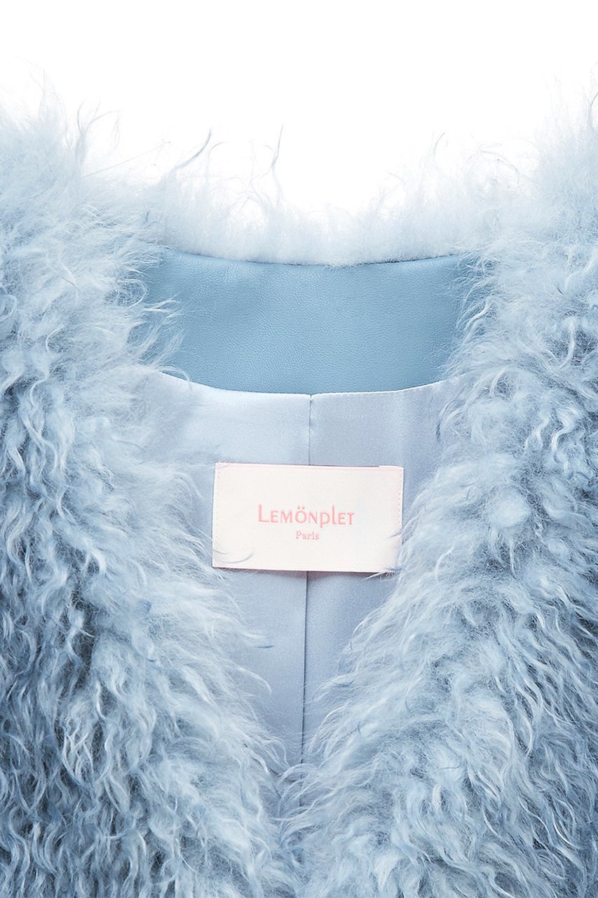 【レモンプレット/Lemonplet】のFAUX FUR KUN MG VEST 人気、トレンドファッション・服の通販 founy(ファニー) 　ファッション　Fashion　レディースファッション　Fashion for Women　アウター　Coat / Outerwear Collection　レディースジャケット・軽アウター　Jackets　ジャケット　Jacket, Outerwear　フォーマル　Formal, Dressy　ベスト　Vest, Waistcoat　other-3|ID: prp329100004740042 ipo3291000000034241501