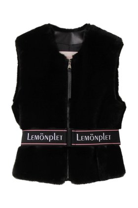 【レモンプレット/Lemonplet】 FAUX FUR SOURCE VEST人気、トレンドファッション・服の通販 founy(ファニー) ファッション Fashion レディースファッション Fashion for Women アウター Coat / Outerwear Collection レディースジャケット・軽アウター Jackets コンパクト Compact, Small Size ジャケット Jacket, Outerwear フェイクファー Faux Fur, Imitation Fur フォルム Silhouette, Form ベスト Vest, Waistcoat ボトム Bottoms, Lower Wear |ID:prp329100004741060