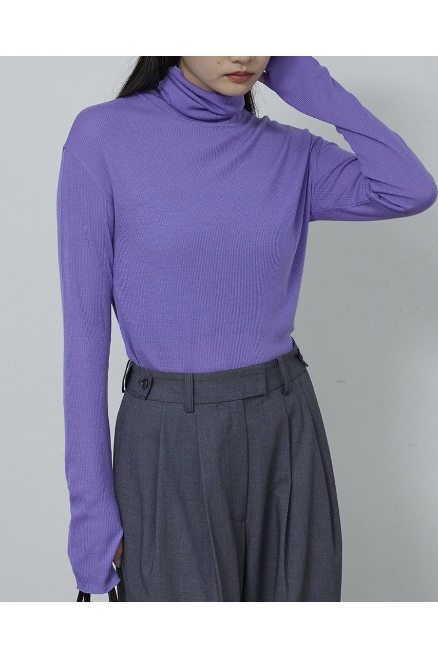 【ガリャルダガランテ/GALLARDAGALANTE】のリブタートルカットソー インテリア・キッズ・メンズ・レディースファッション・服の通販 founy(ファニー)  ファッション Fashion レディースファッション Fashion for Women トップス・カットソー Cut & Sew Tops シャツ・ブラウス・オフィスカジュアル Elegant Blouses & Button-Ups ロングTシャツ・Tシャツ Longline T-Shirts & Tees カットソー・ベーシックTシャツ Cut-and-Sewn Tops / Stretch Tees & Basics インナー Innerwear ジャケット Jacket, Outerwear スリーブ Sleeve, Long Sleeve / Short Sleeve ロング Long, Long-Length ワンポイント One Point, Statement Accent 定番 Standard, Basic Item 新作・新入荷 New Arrivals / New In パープル|ID: prp329100004755349 ipo3291000000034396794