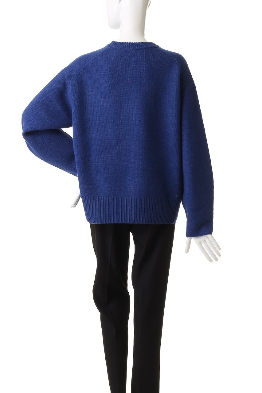 【エブール/ebure】のウールカシミアミドルゲージ クルーネックニットプルオーバー 人気、トレンドファッション・服の通販 founy(ファニー) 　ファッション　Fashion　レディースファッション　Fashion for Women　トップス・カットソー　Cut & Sew Tops　ニット　Knit Tops & Sweaters　カジュアルプルオーバー・ニットトップス　Pullovers & Knit Tops / Casual Pullovers　おすすめ　Recommended / Our Picks　シンプル　Simple, Minimal　タンク　Tank Top, Sleeveless Top　ロング　Long, Long-Length　再入荷　Restock / Back in Stock　other-4|ID: prp329100004756494 ipo3291000000035459859